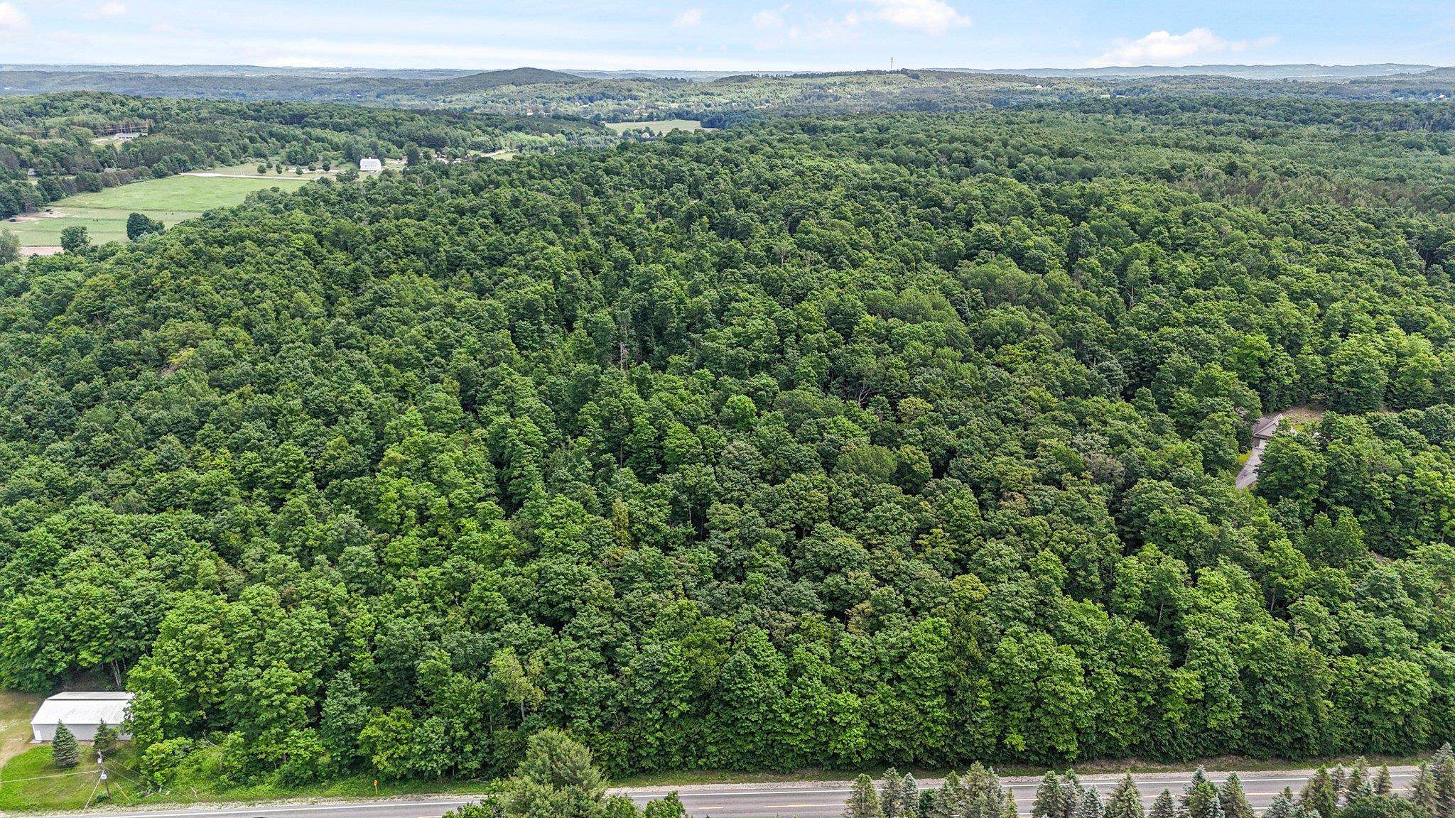 V/L S Coleman Road, Maple City, MI, 49664