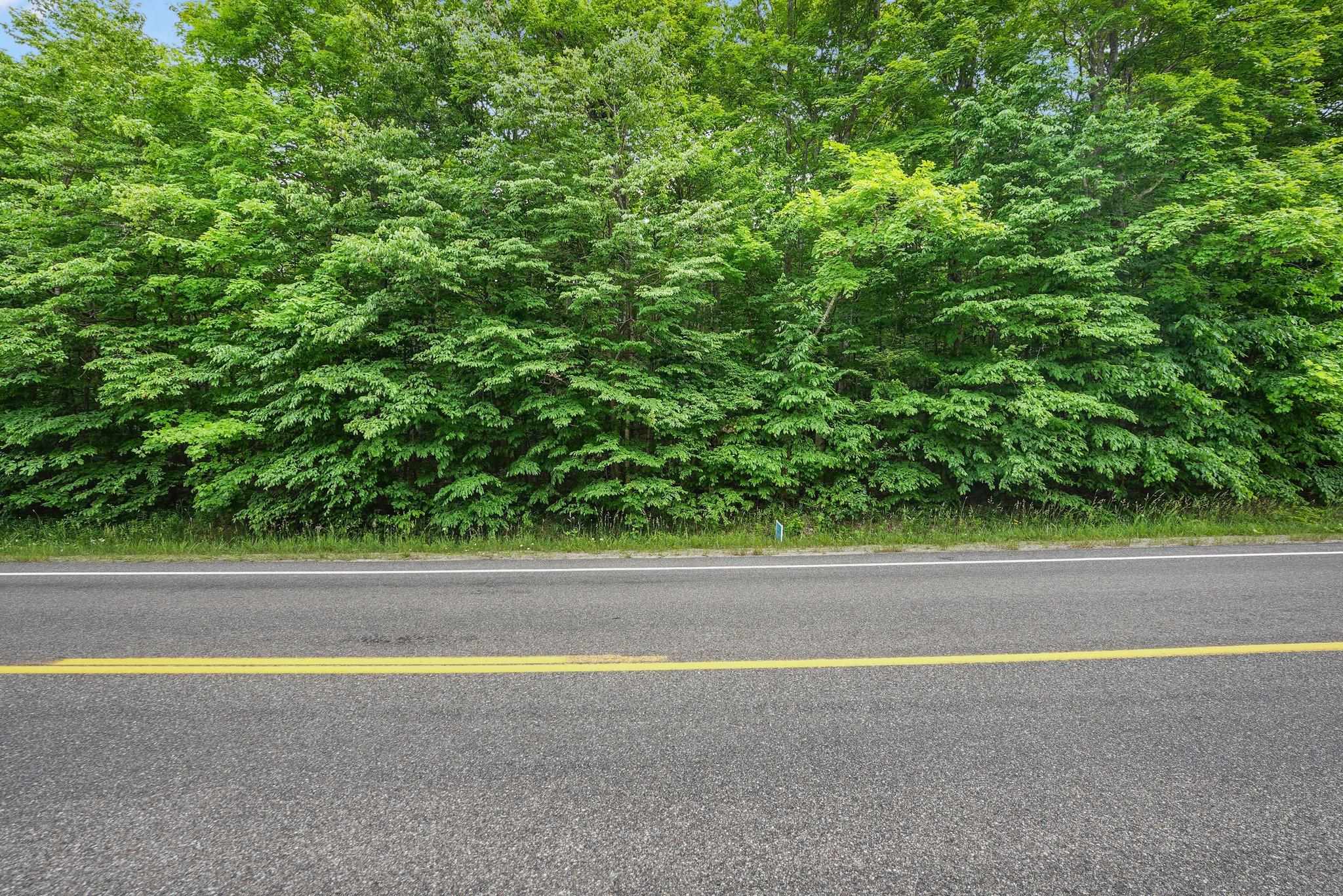 V/L S Coleman Road, Maple City, MI, 49664