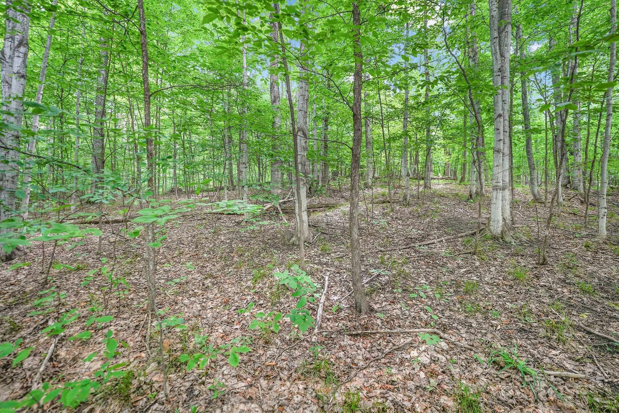 V/L S Coleman Road, Maple City, MI, 49664