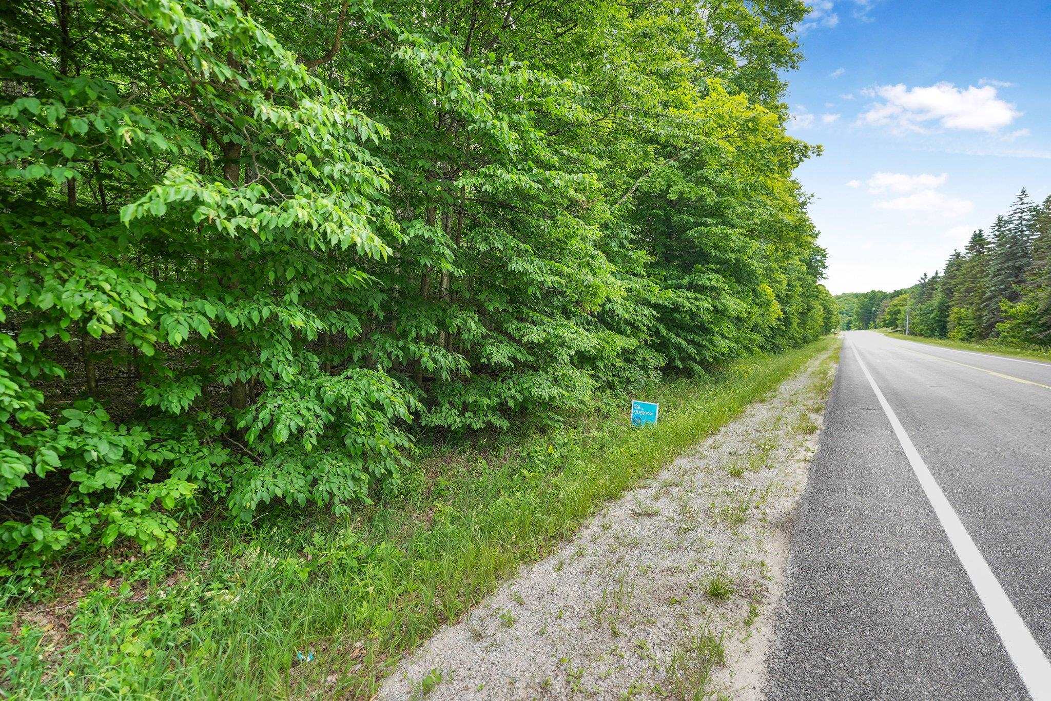 V/L S Coleman Road, Maple City, MI, 49664