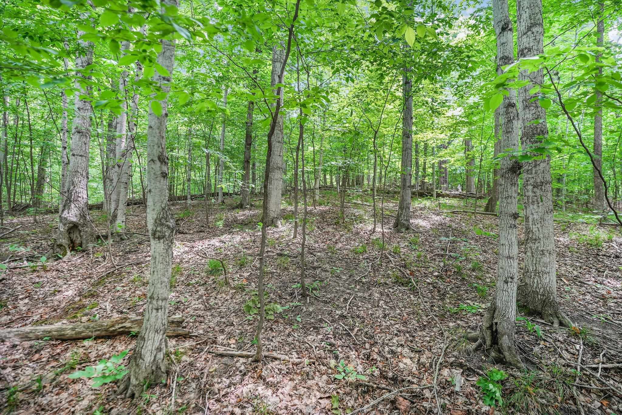 V/L S Coleman Road, Maple City, MI, 49664