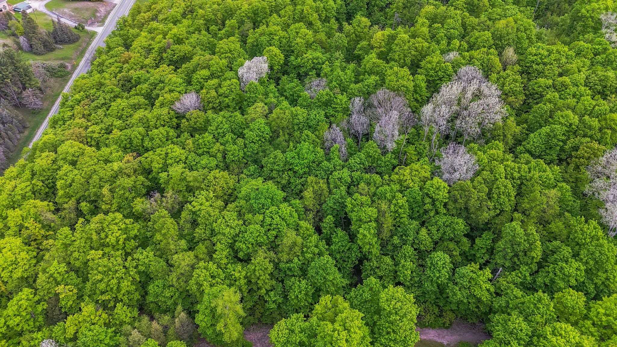 V/L S Coleman Road, Maple City, MI, 49664