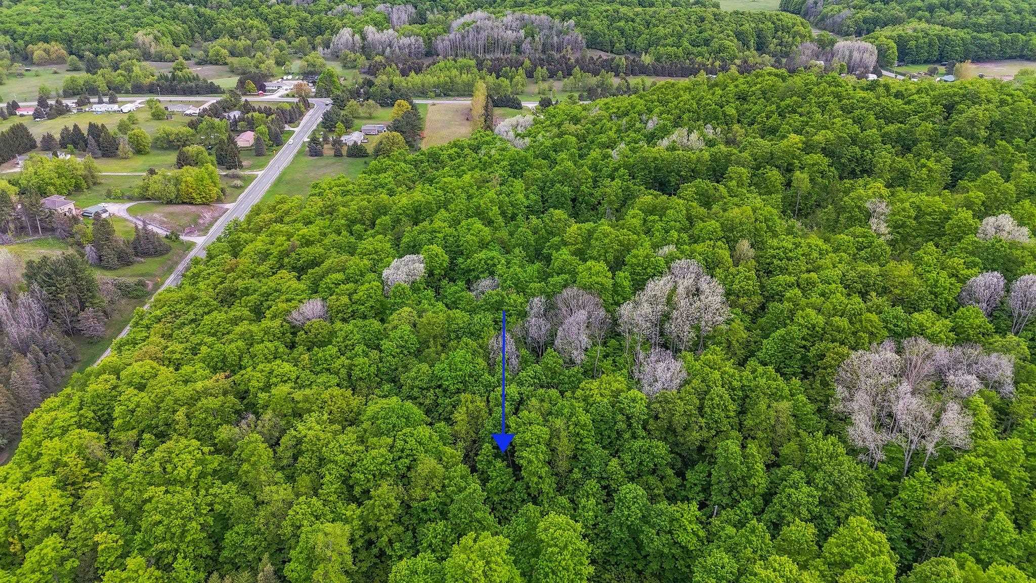 V/L S Coleman Road, Maple City, MI, 49664