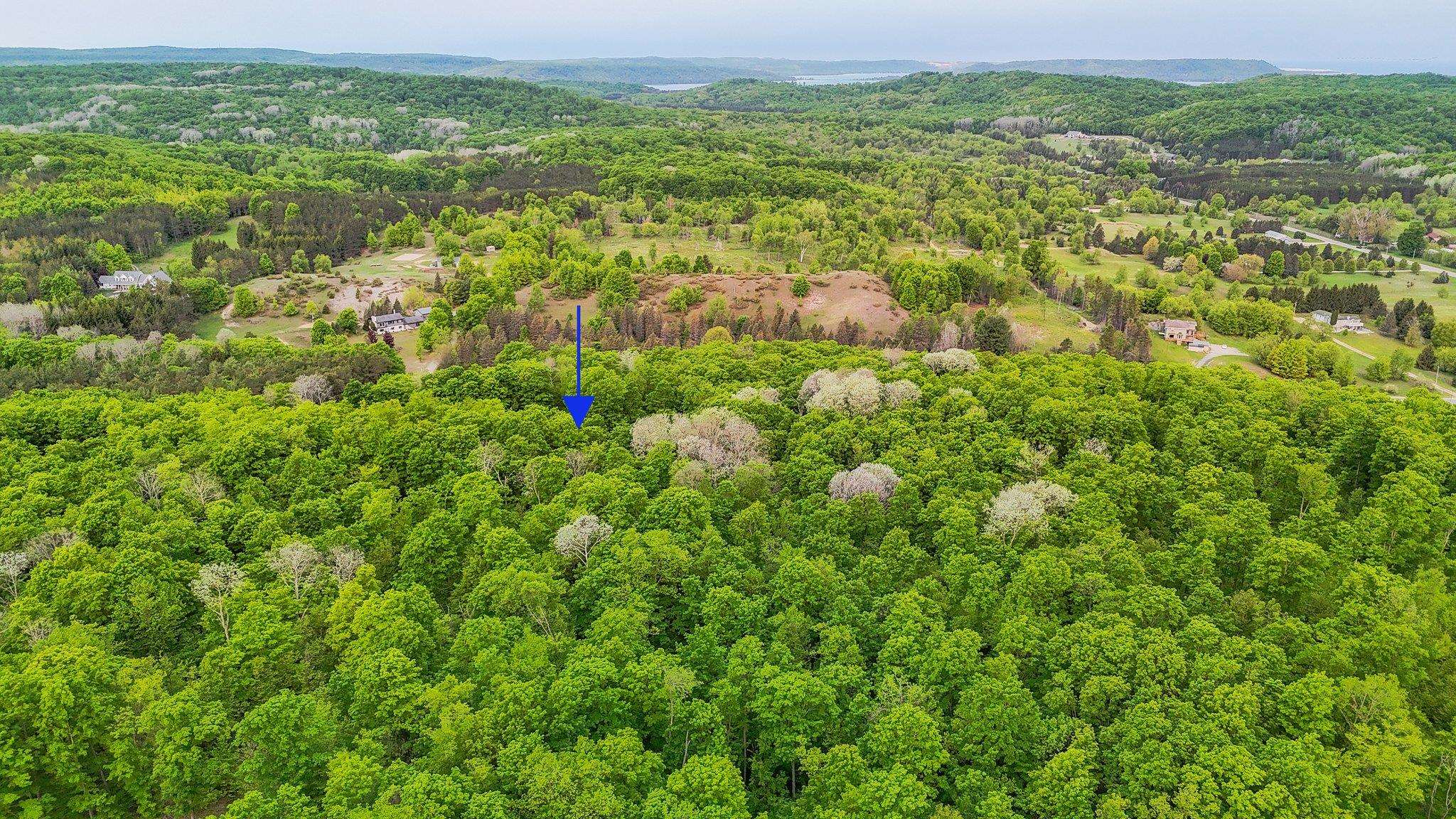 V/L S Coleman Road, Maple City, MI, 49664