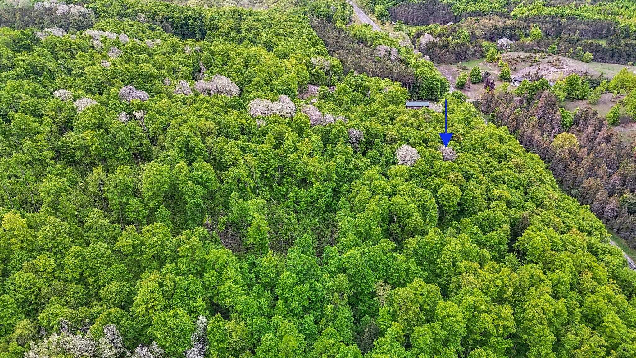 V/L S Coleman Road, Maple City, MI, 49664