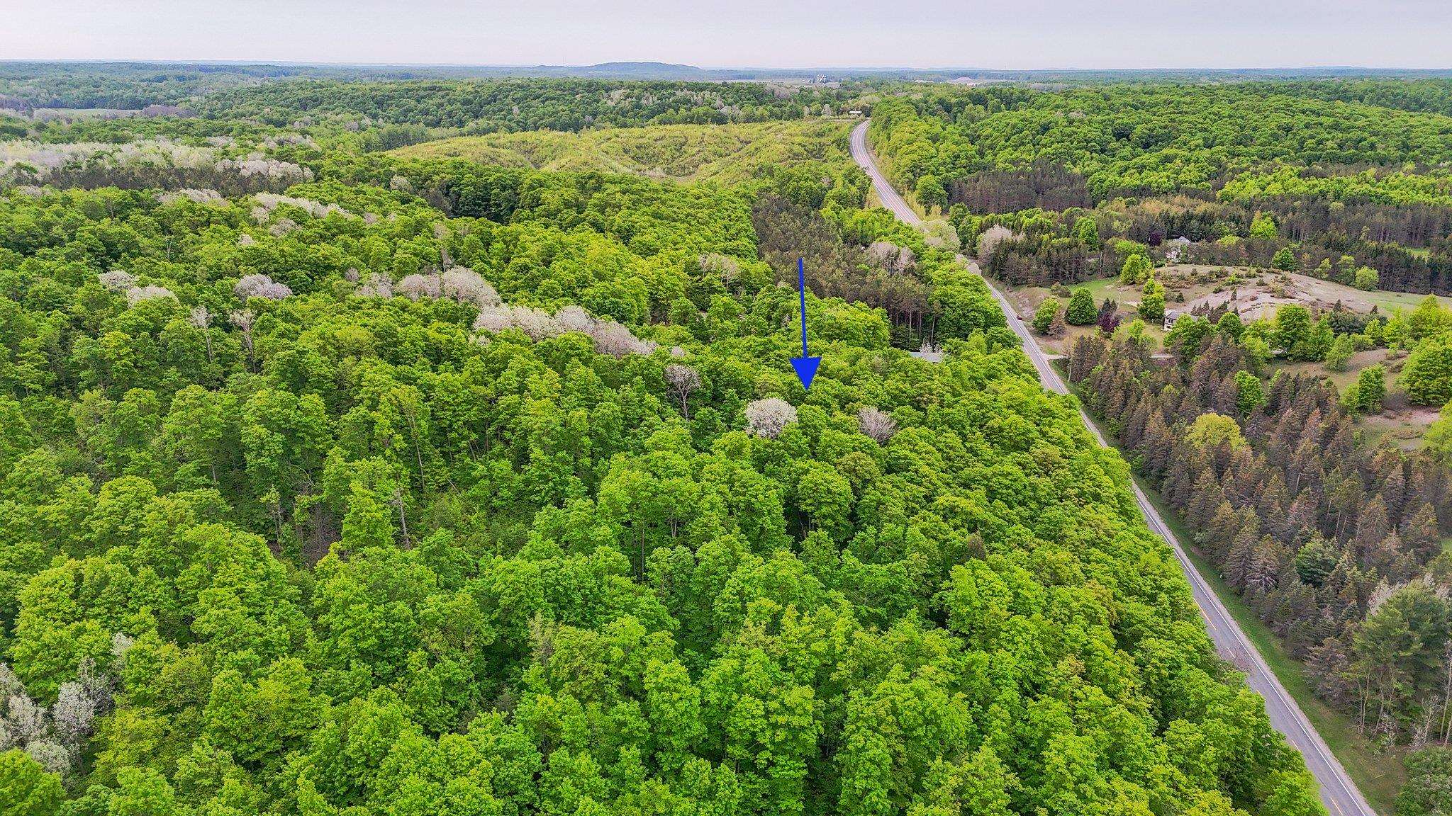 V/L S Coleman Road, Maple City, MI, 49664