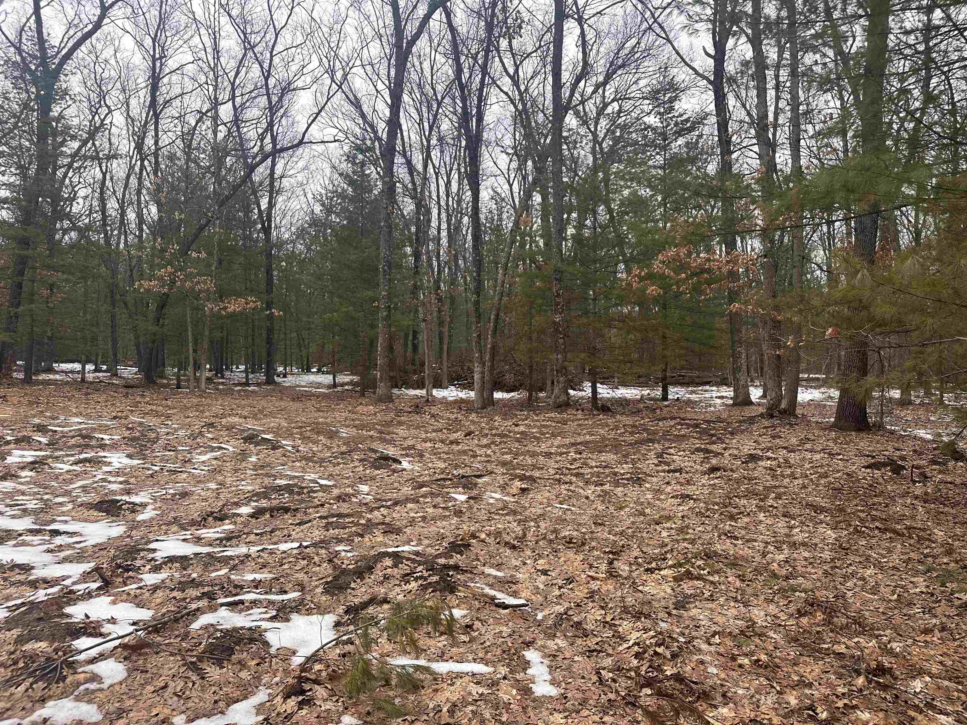 8616 Katie Lane, Baldwin, MI, 49304