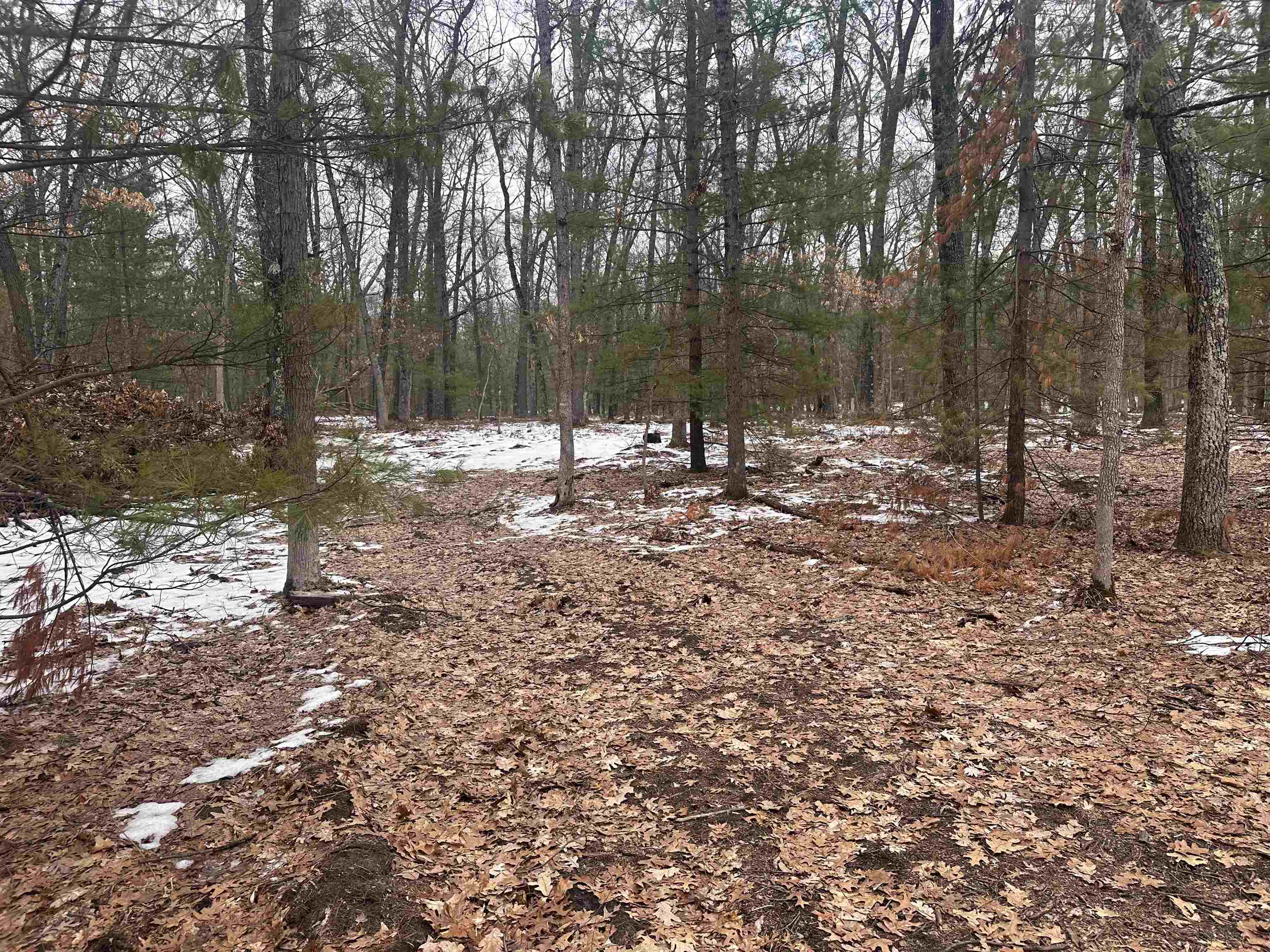 8616 Katie Lane, Baldwin, MI, 49304