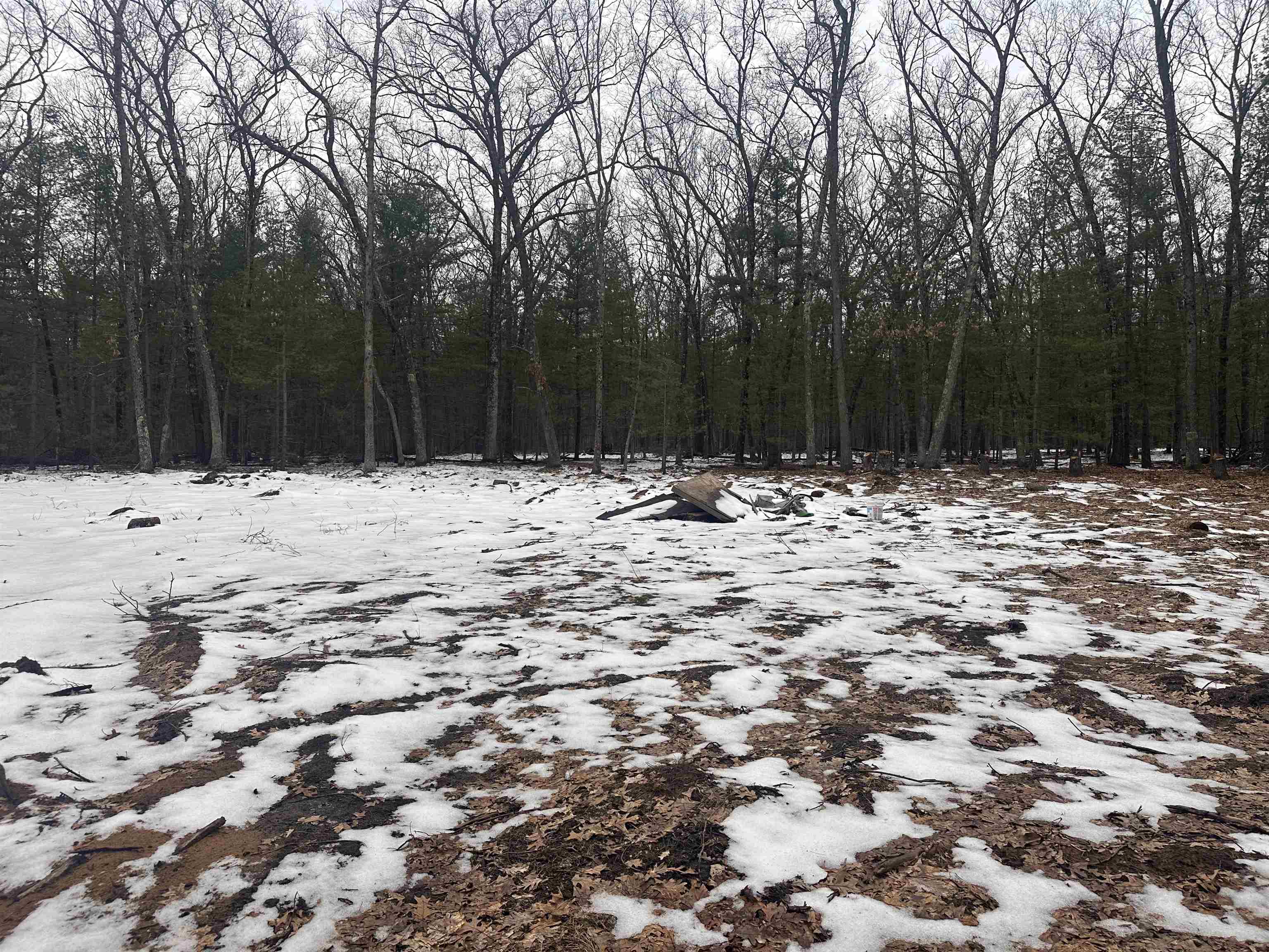 8616 Katie Lane, Baldwin, MI, 49304