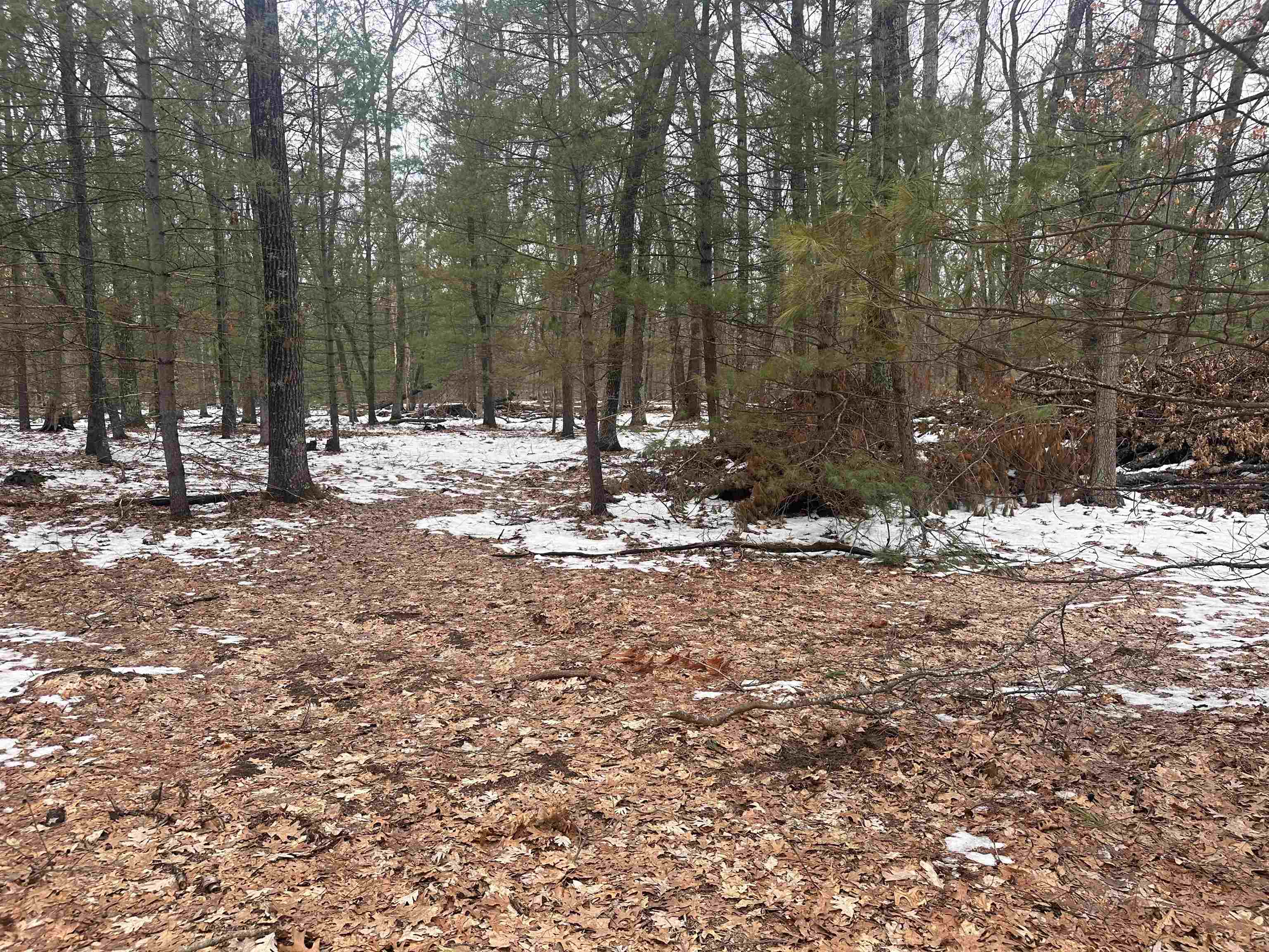 8616 Katie Lane, Baldwin, MI, 49304