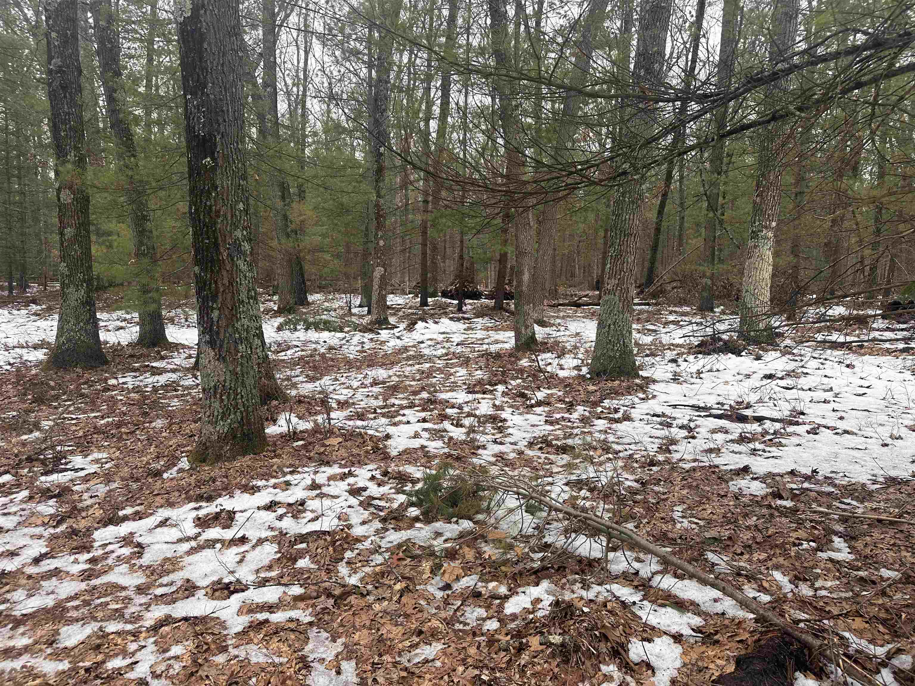 8616 Katie Lane, Baldwin, MI, 49304