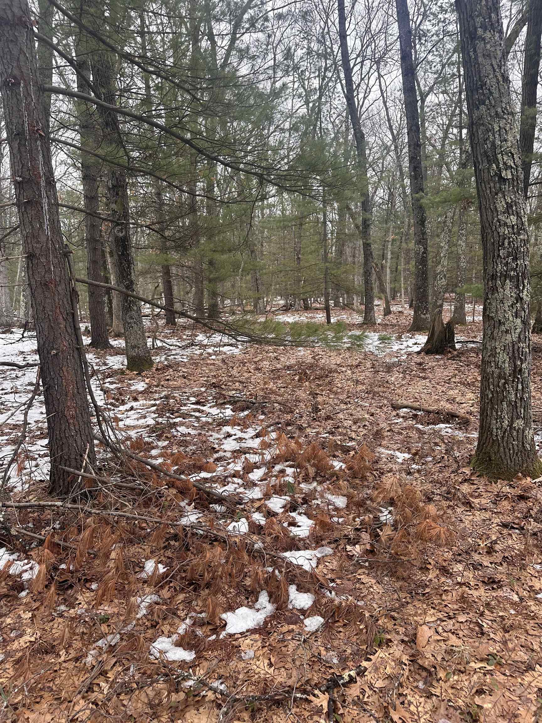 8616 Katie Lane, Baldwin, MI, 49304