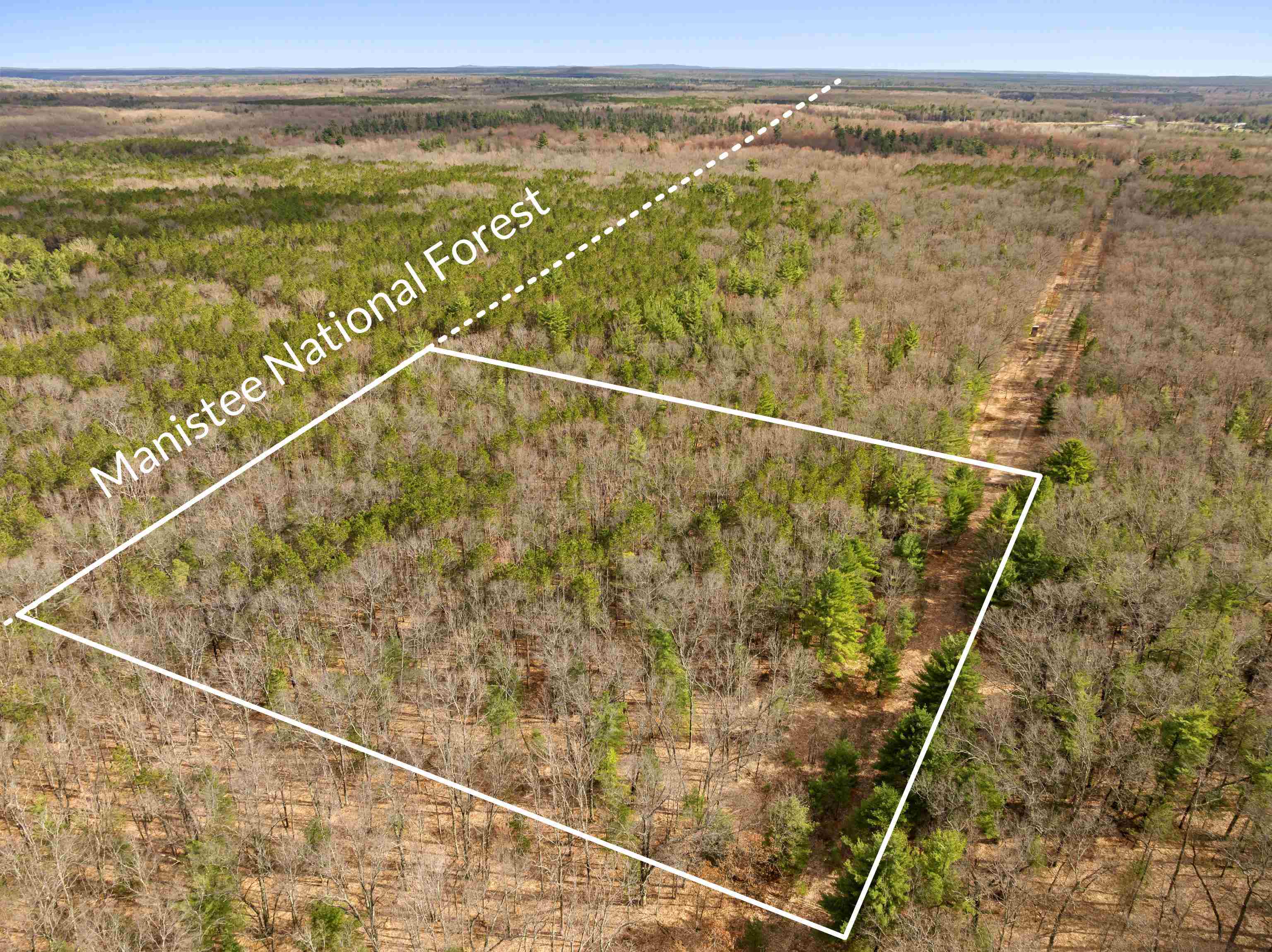 Maple Avenue, Brethren, MI, 49619