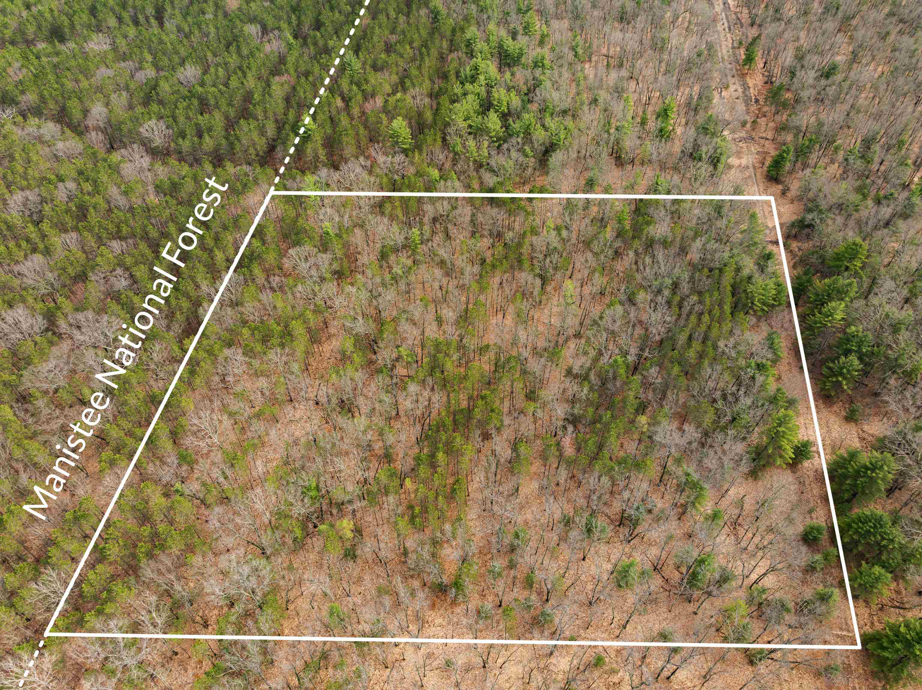 Maple Avenue, Brethren, MI, 49619