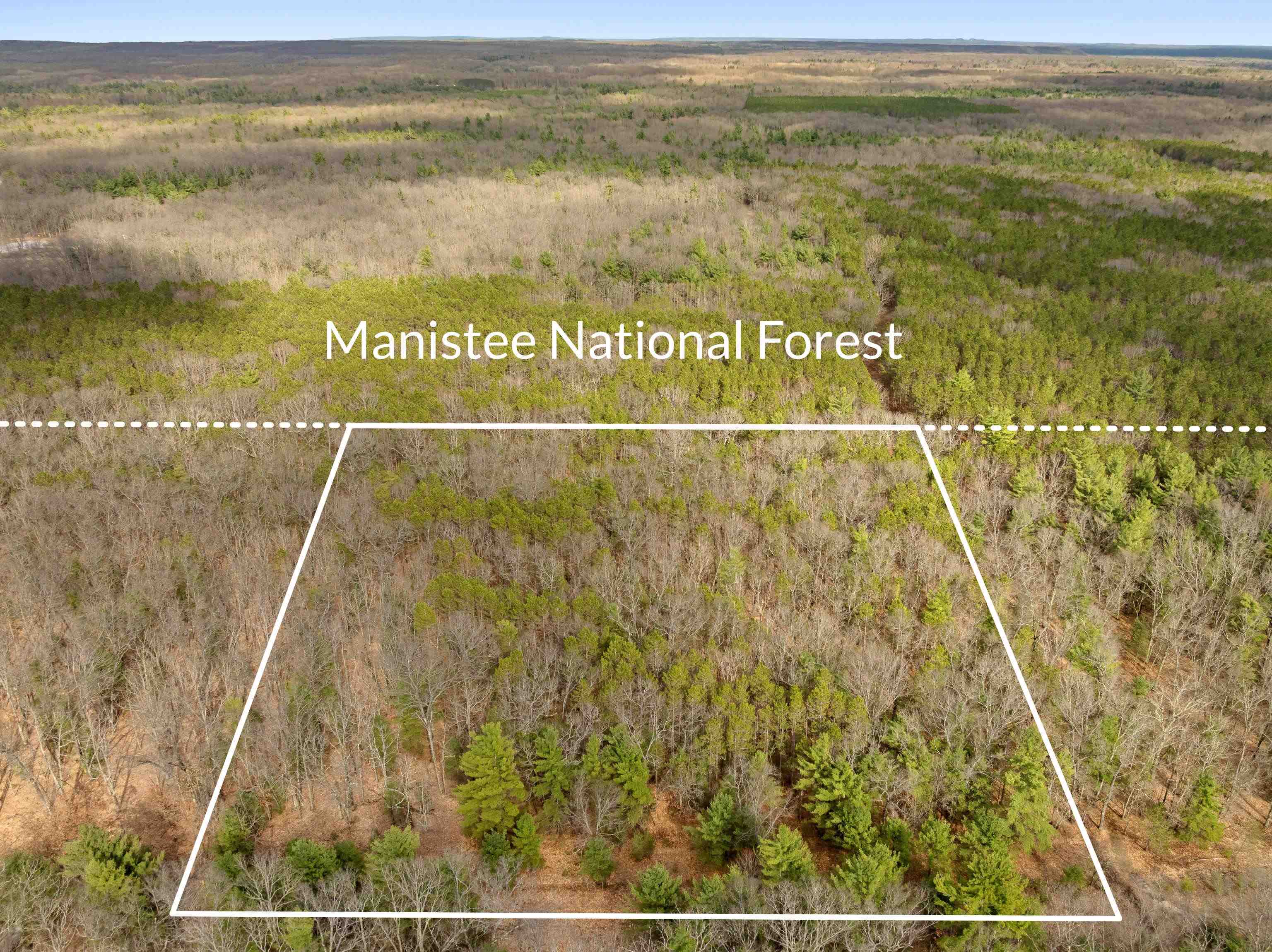 Maple Avenue, Brethren, MI, 49619