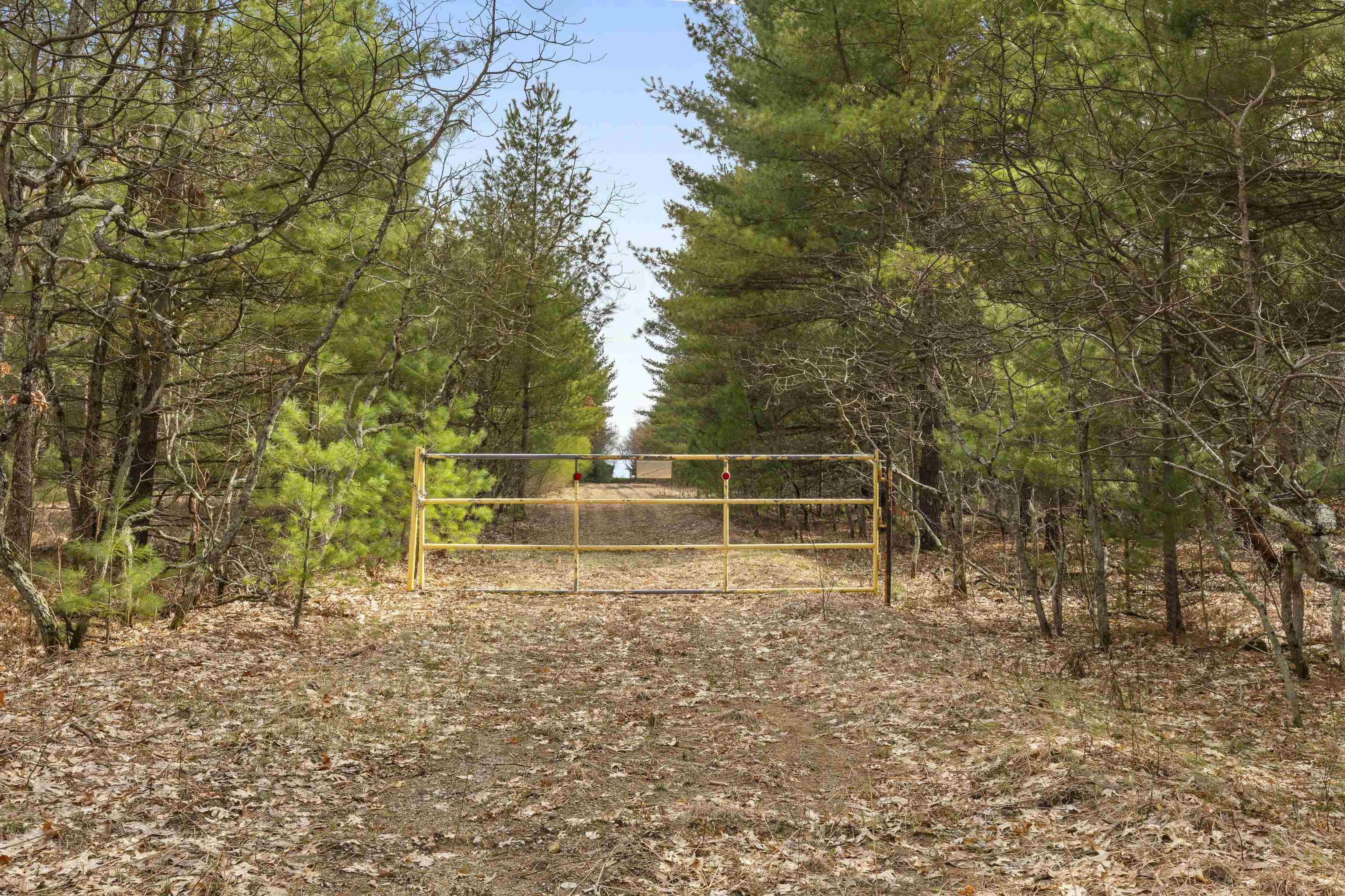 Maple Avenue, Brethren, MI, 49619