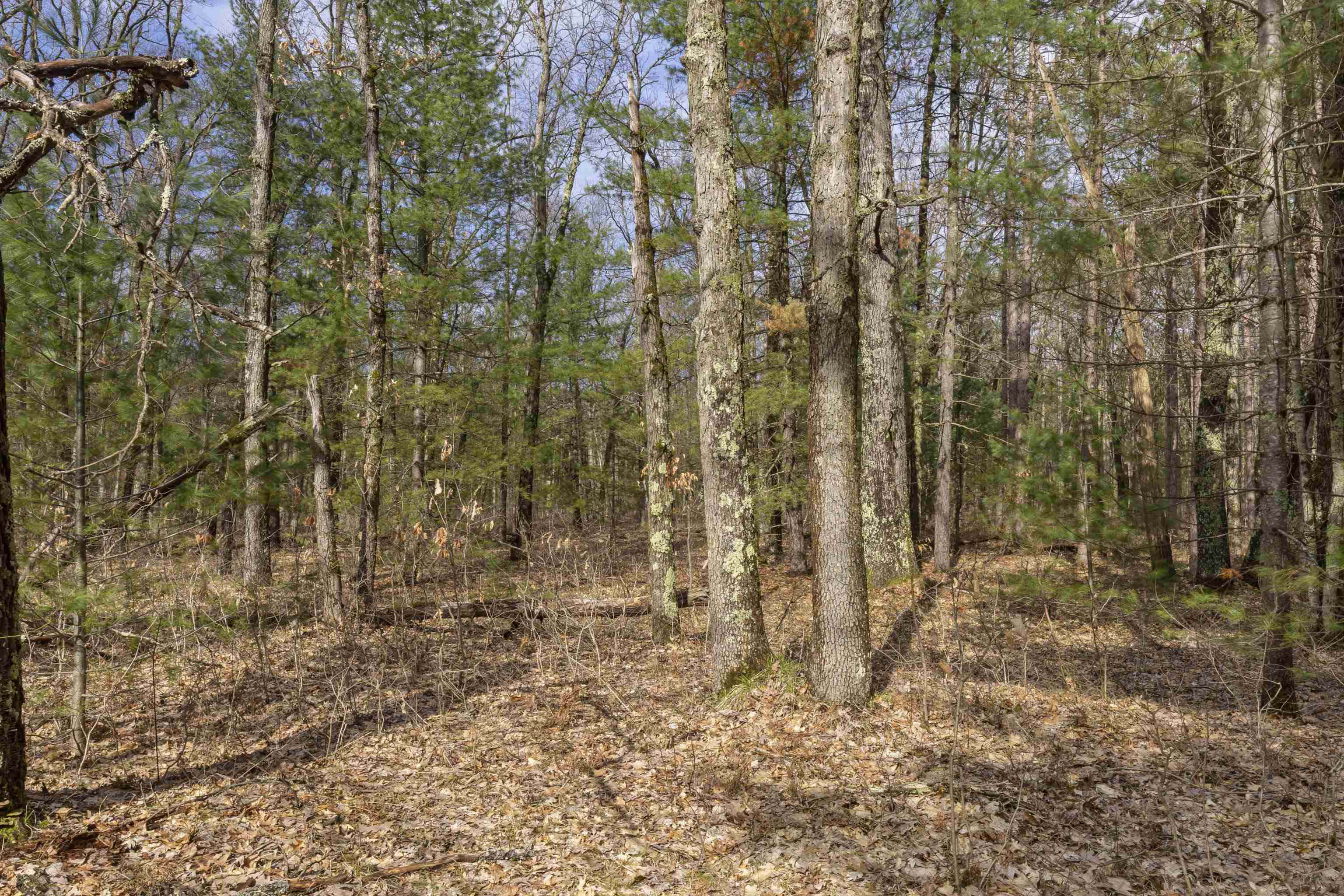 Maple Avenue, Brethren, MI, 49619