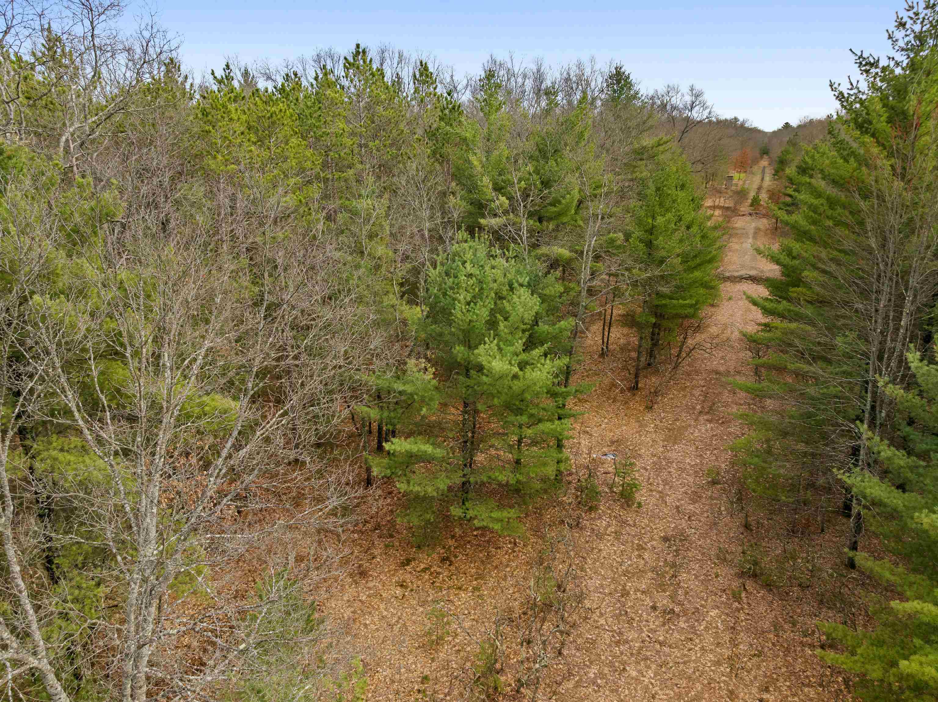 Maple Avenue, Brethren, MI, 49619