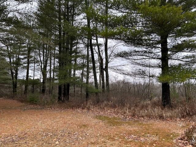 22 S Baldwin Resort Road, East Tawas, MI, 48730