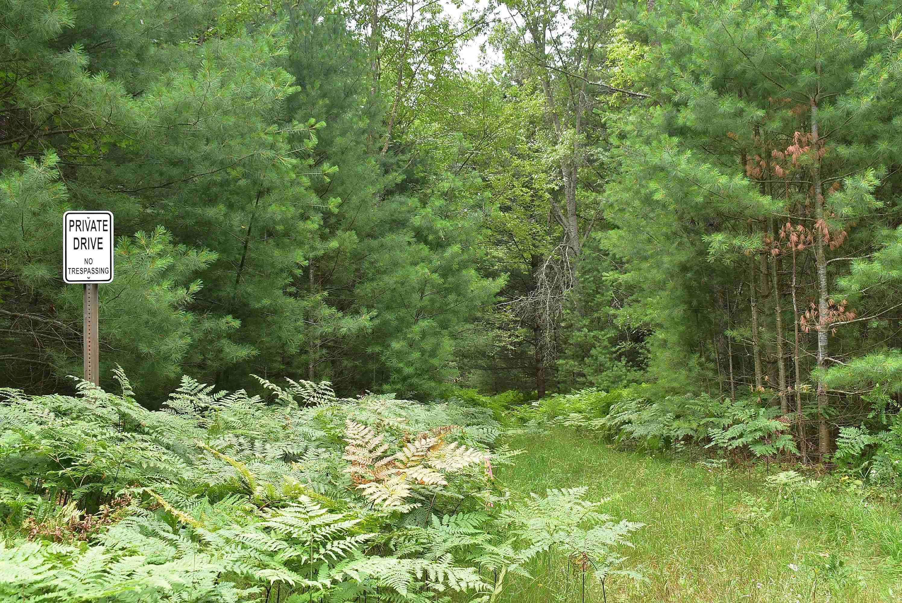 2nd image of Roop Rd, Kingsley, MI 49649 | MLS# 80067083