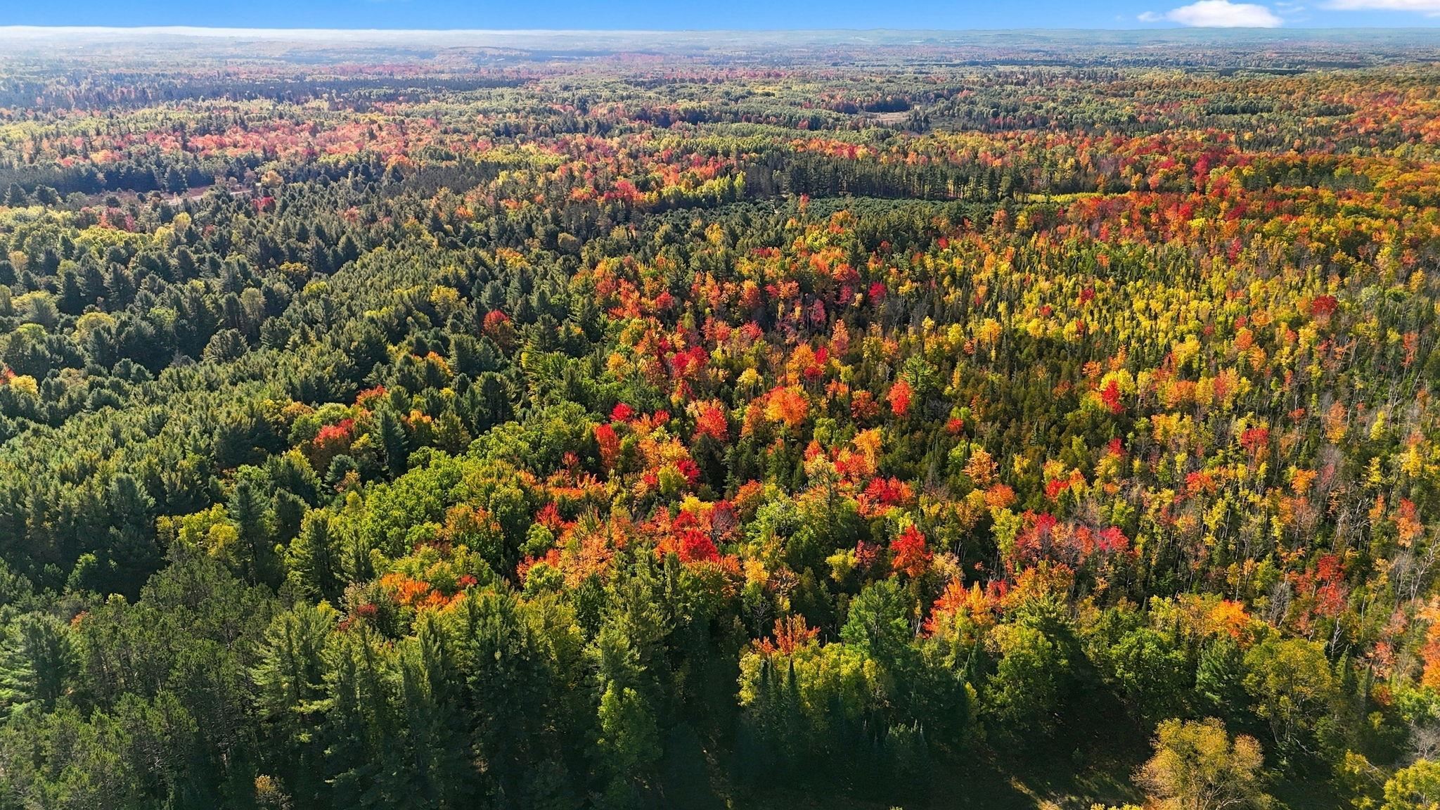 Photo 3 of Land for sale at Roop Rd, Kingsley, MI 49649 | MLS# 78080067083 | Listing updated on 2026-10-07
