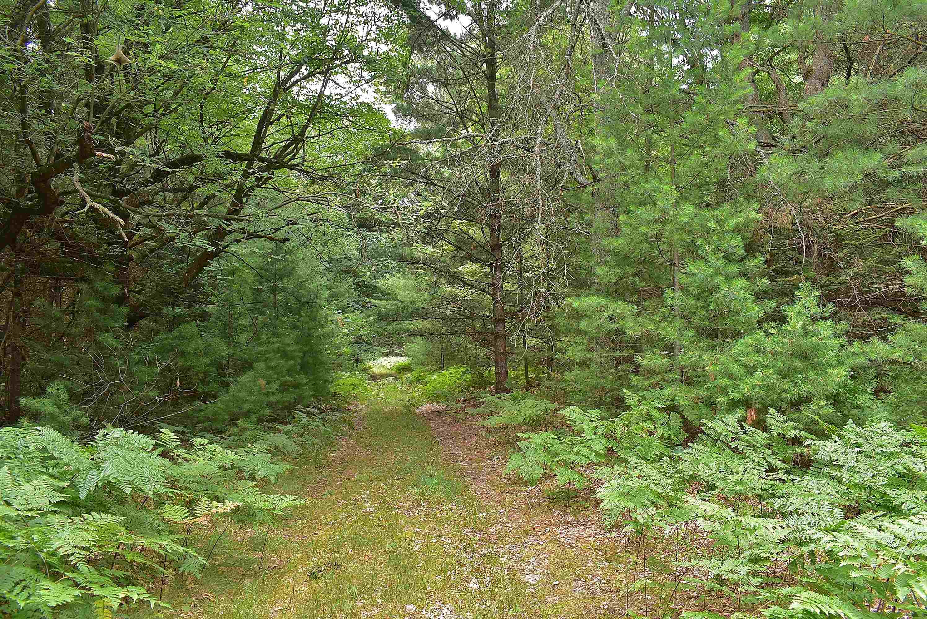 5th image of Roop Rd, Kingsley, MI 49649 | MLS# 80067083