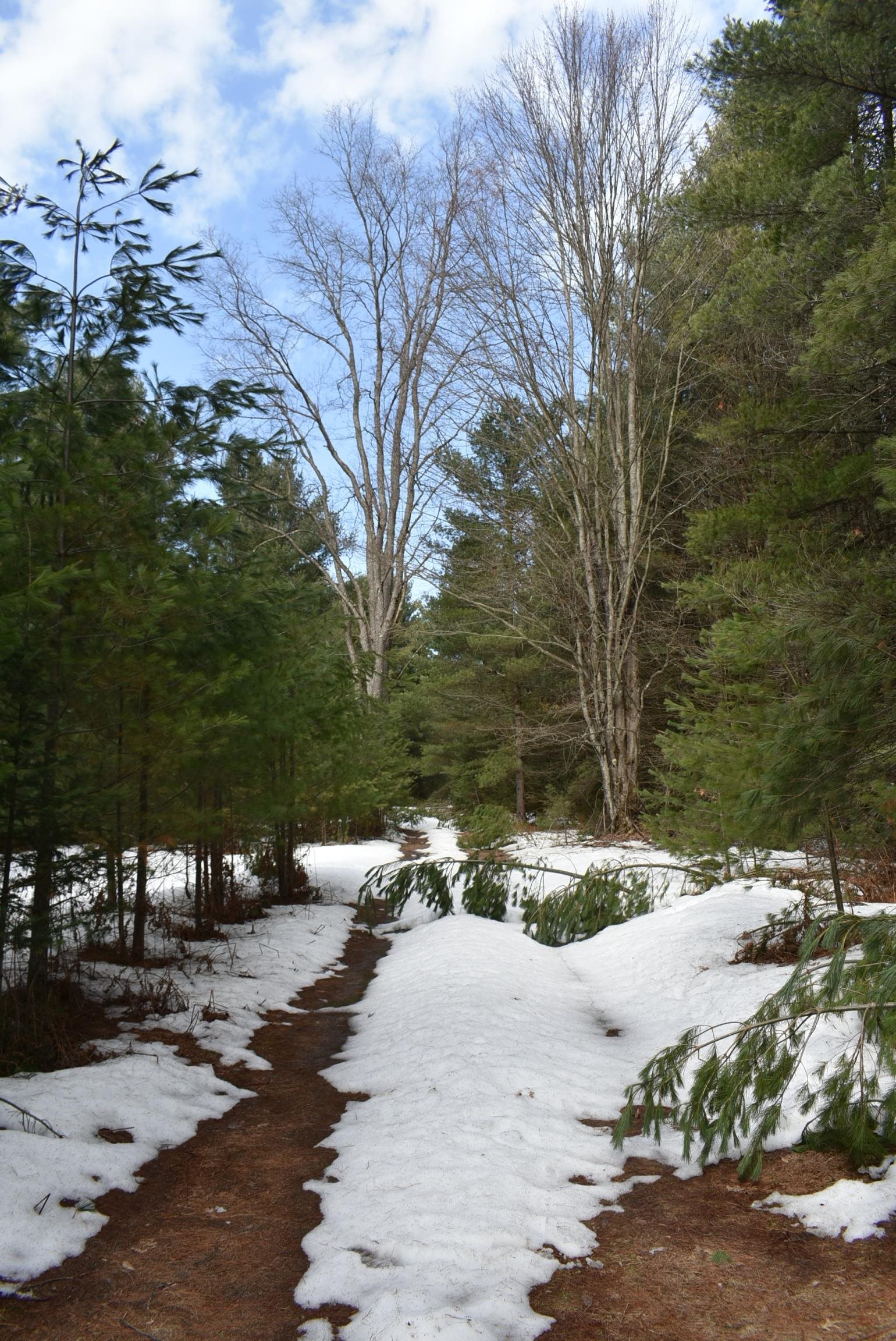 61st image of Roop Rd, Kingsley, MI 49649 | MLS# 80067083