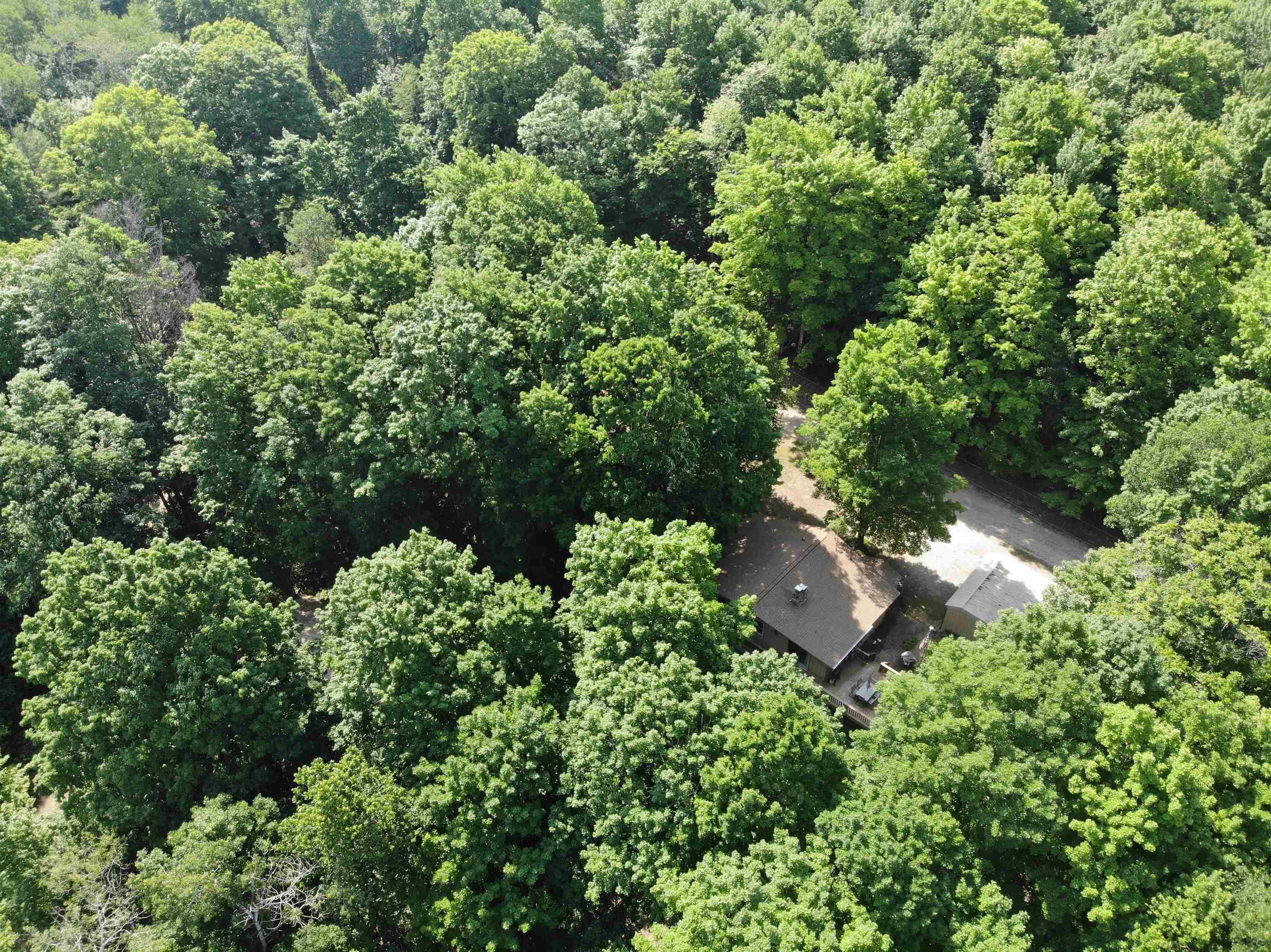 309 Oak Hill Road, Fife Lake, MI, 49633