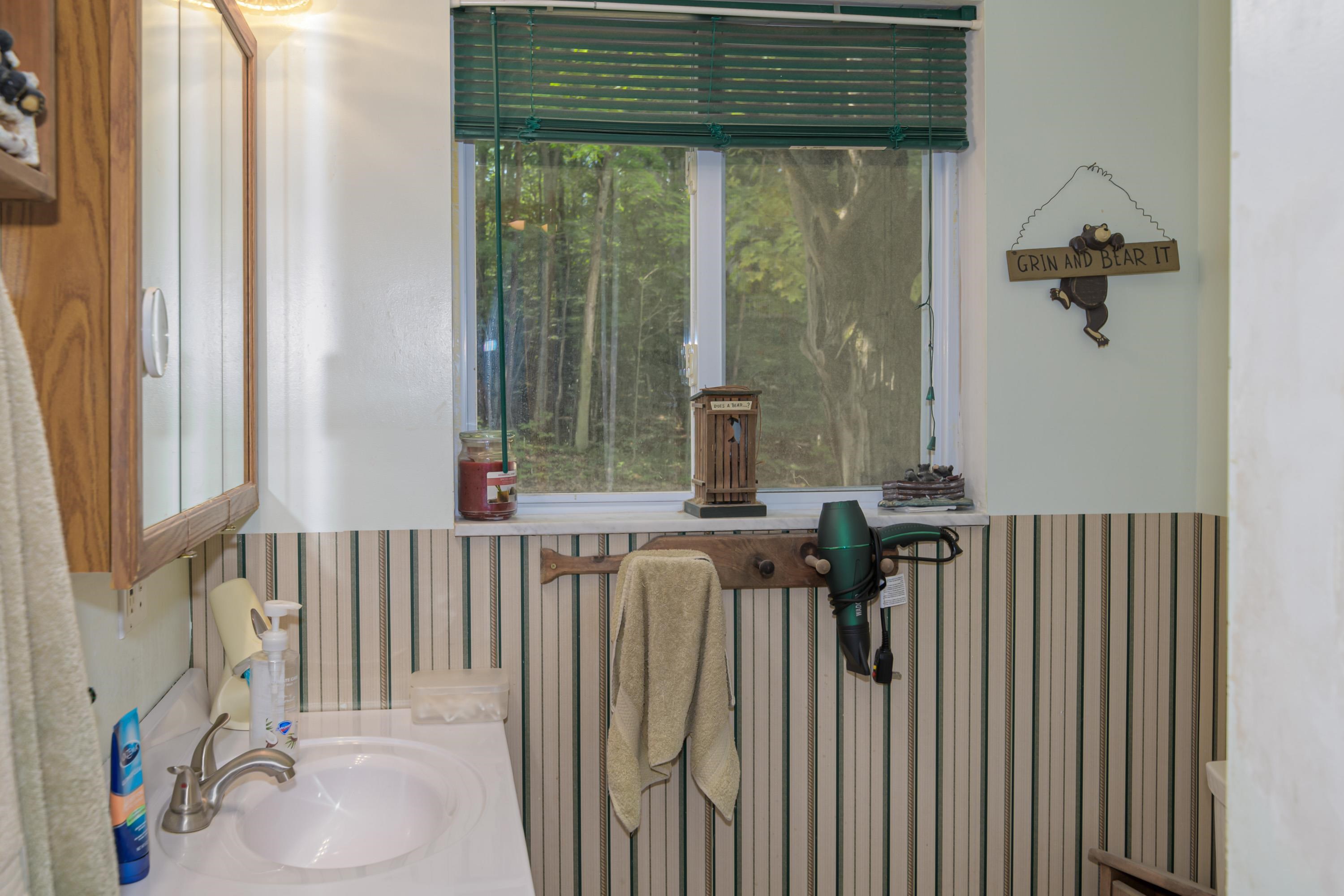 309 Oak Hill Road, Fife Lake, MI, 49633