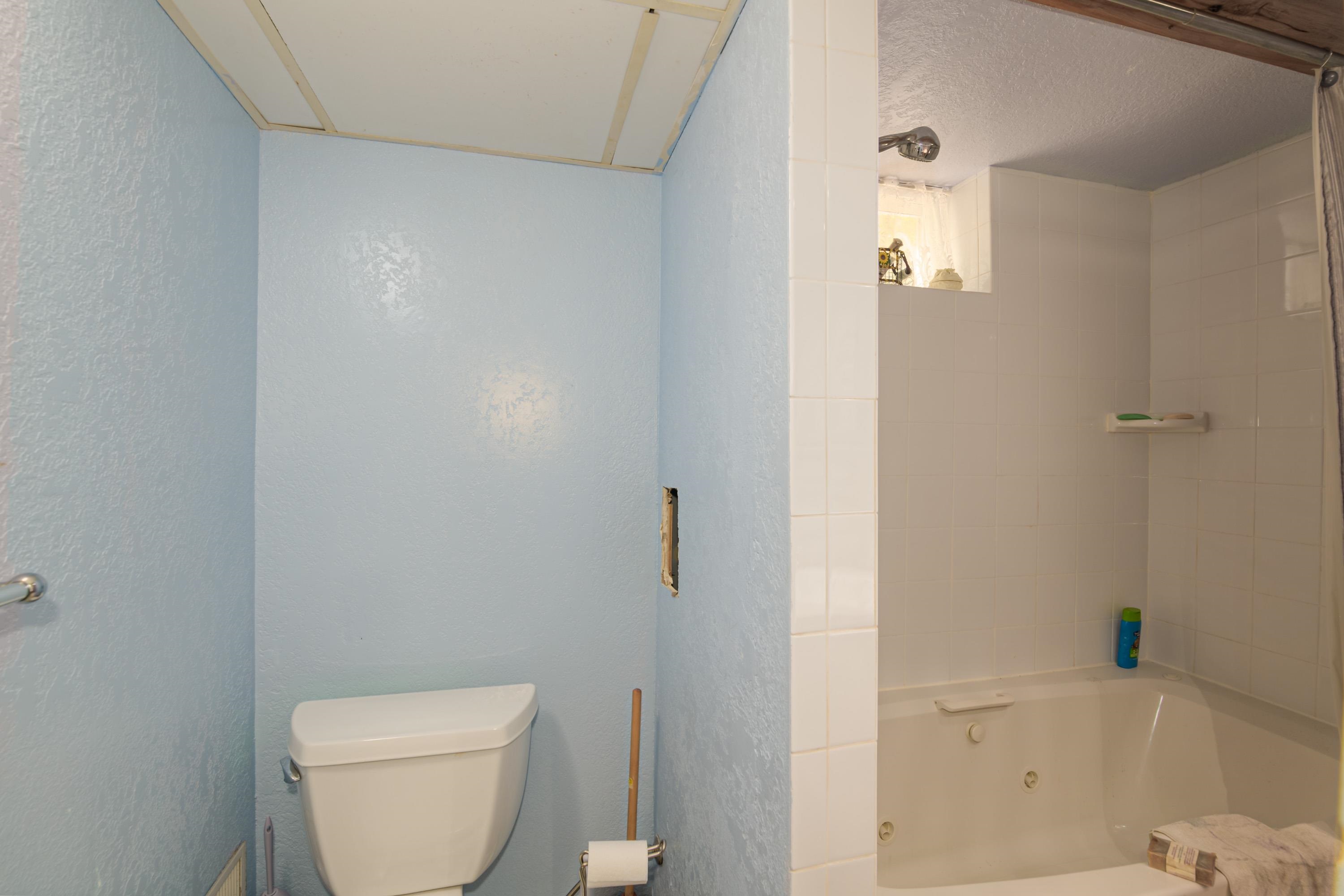 309 Oak Hill Road, Fife Lake, MI, 49633