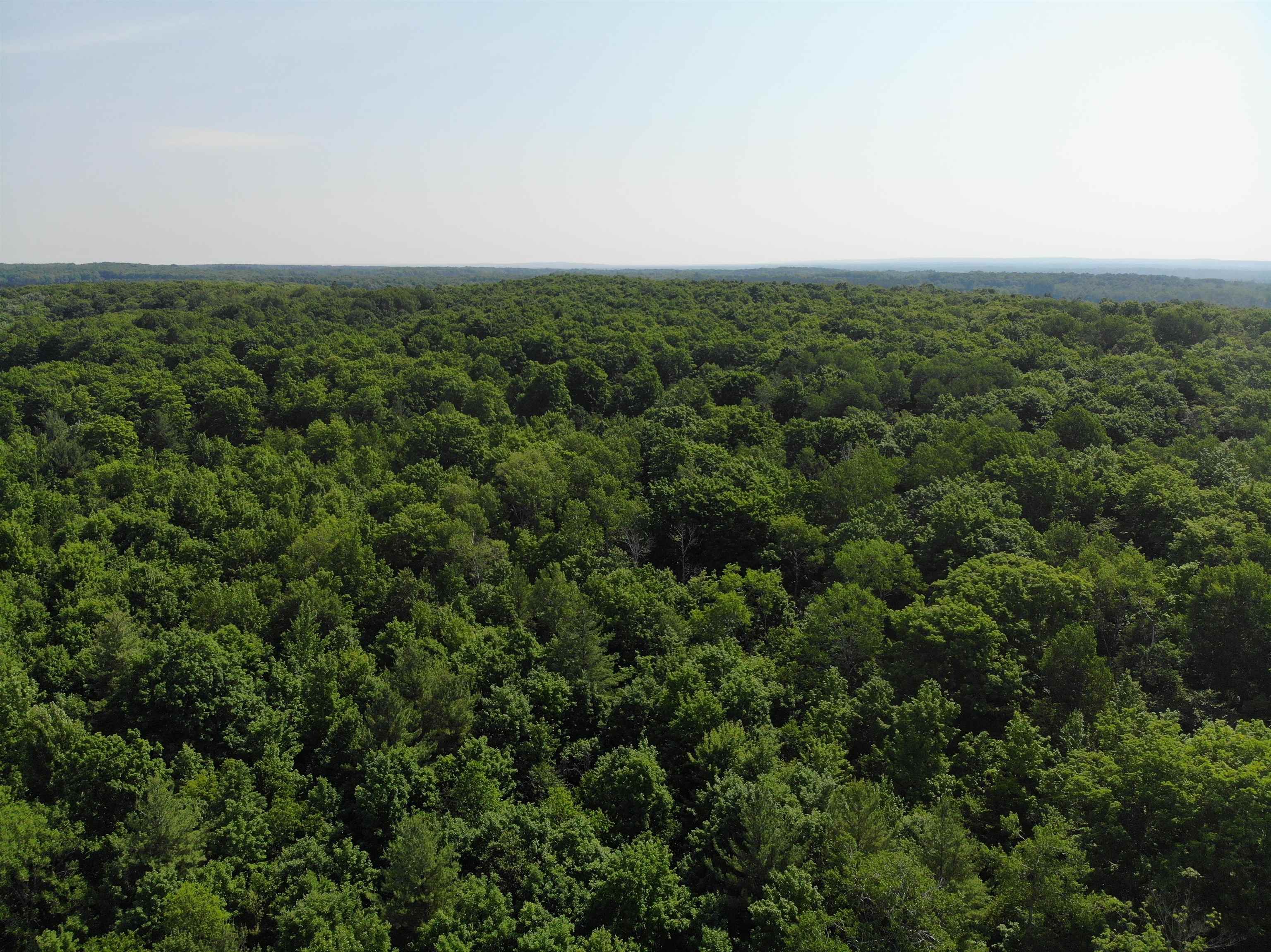 309 Oak Hill Road, Fife Lake, MI, 49633