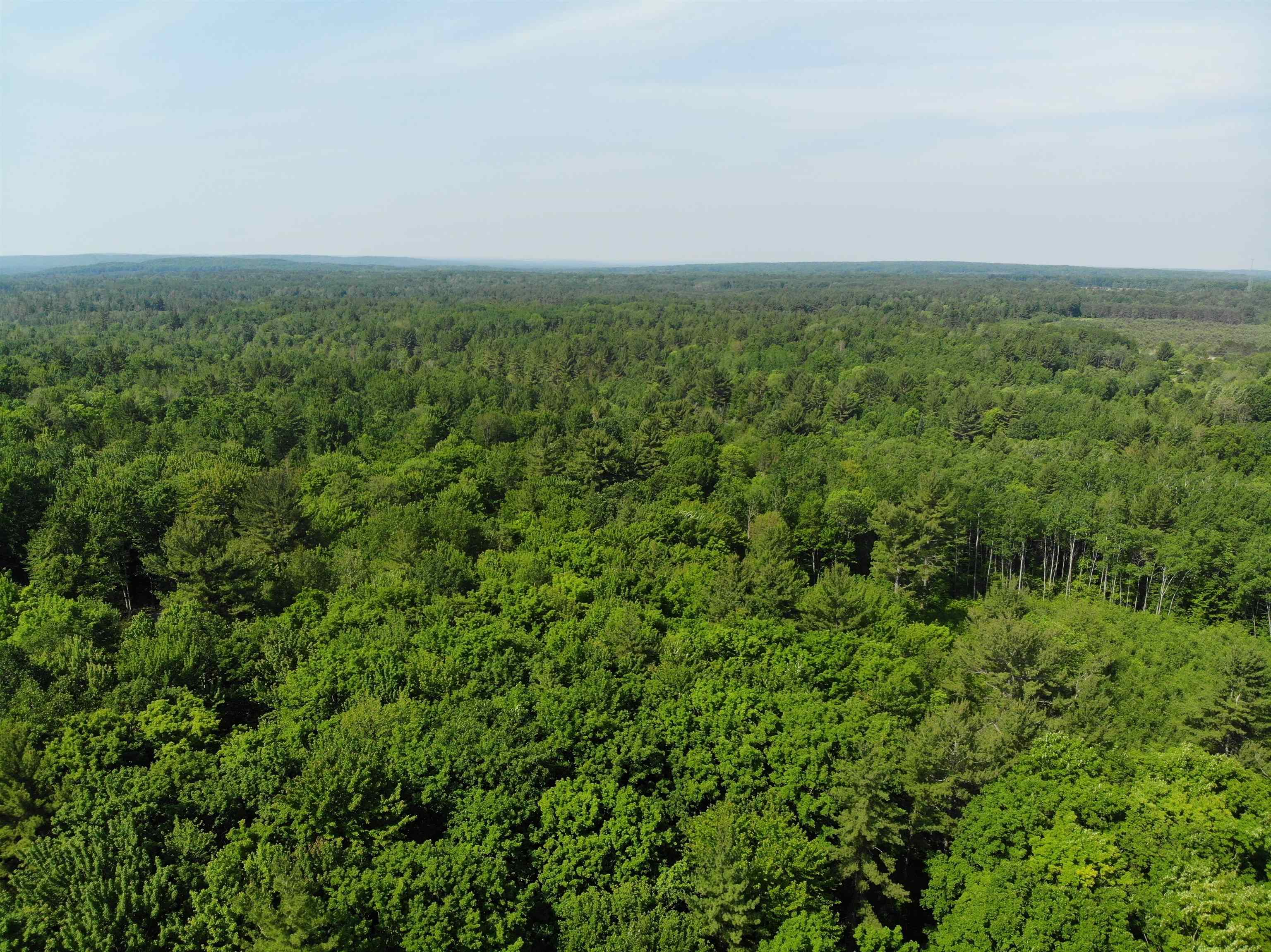 309 Oak Hill Road, Fife Lake, MI, 49633