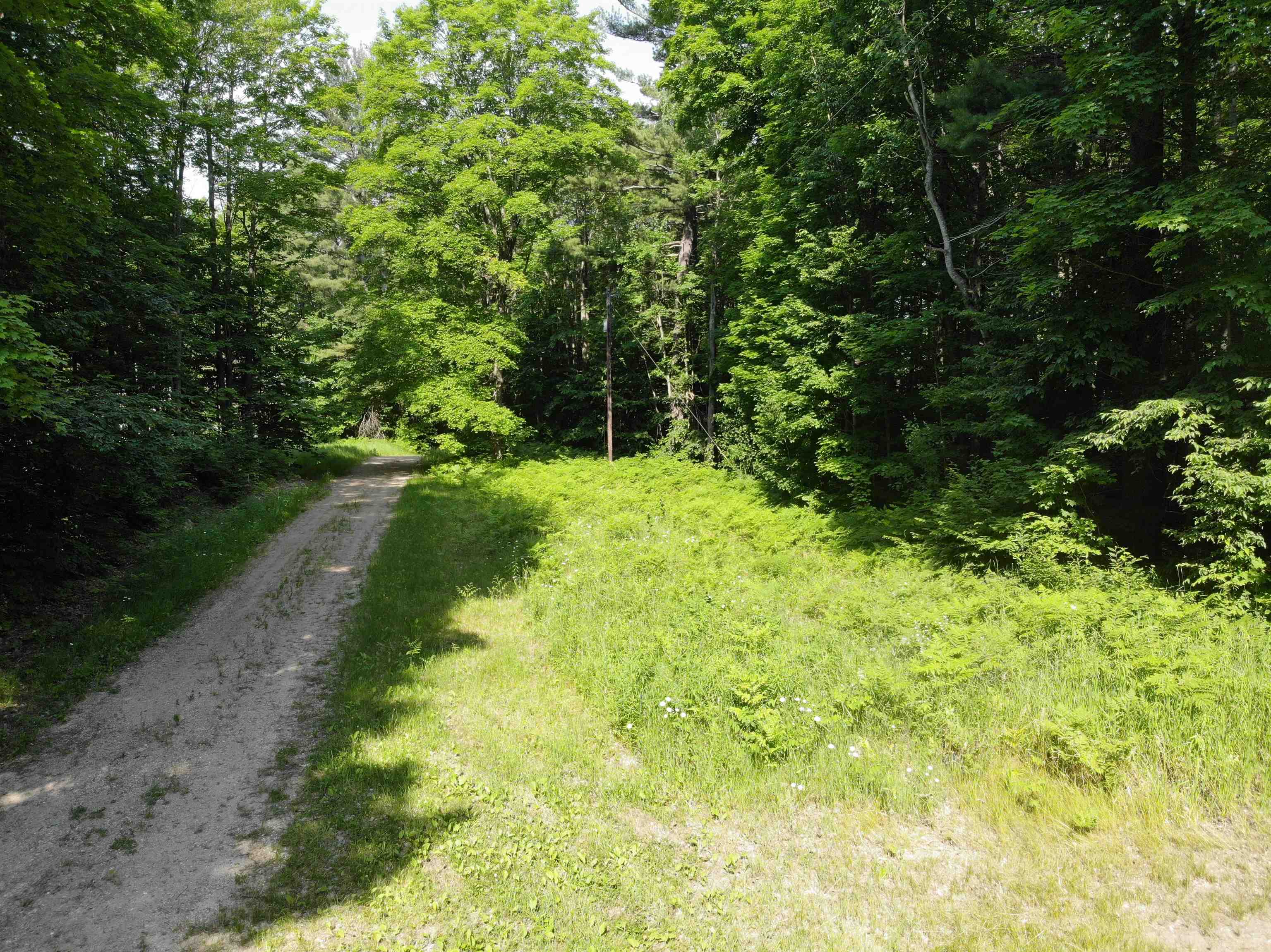 309 Oak Hill Road, Fife Lake, MI, 49633