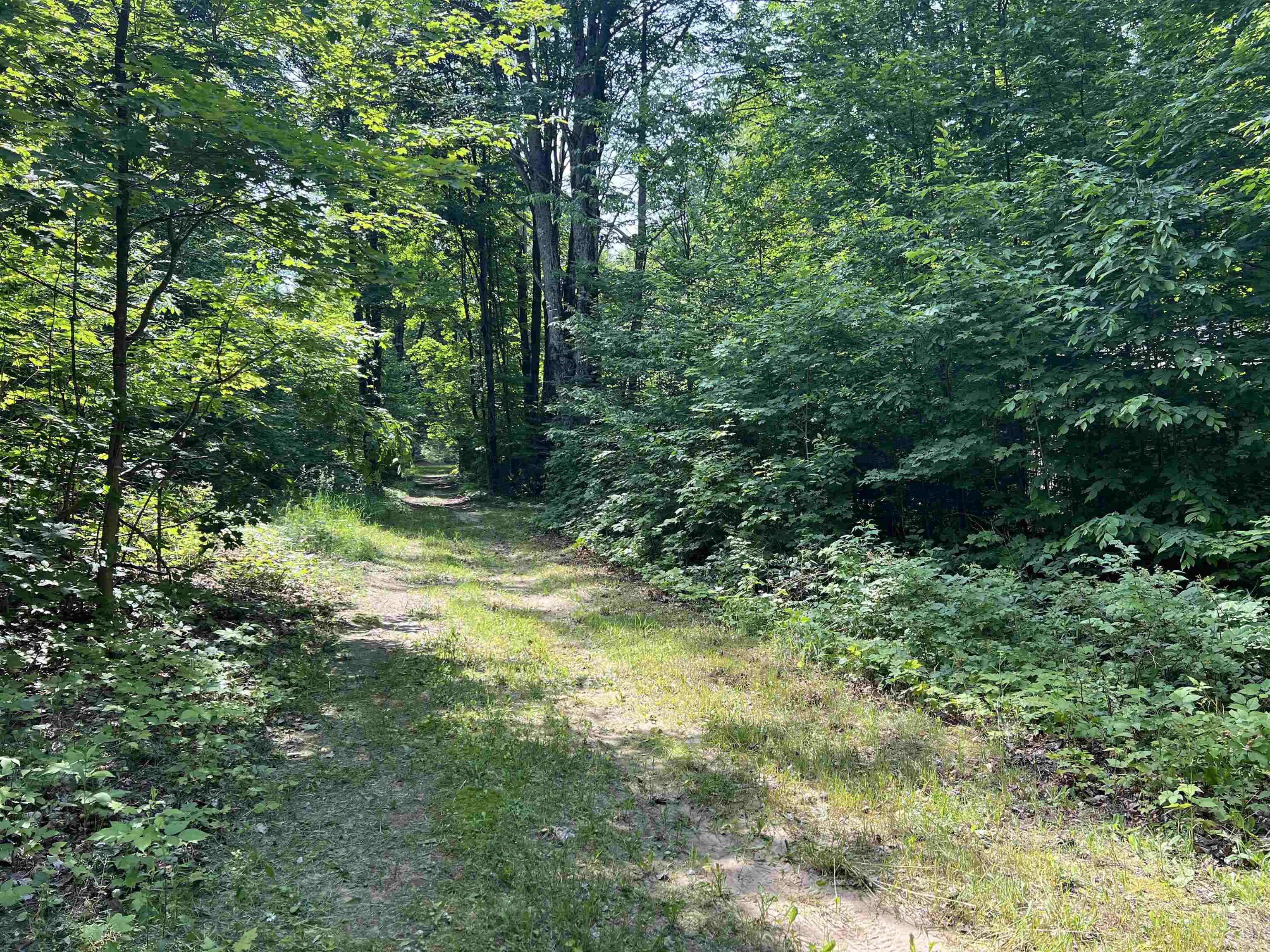 309 Oak Hill Road, Fife Lake, MI, 49633