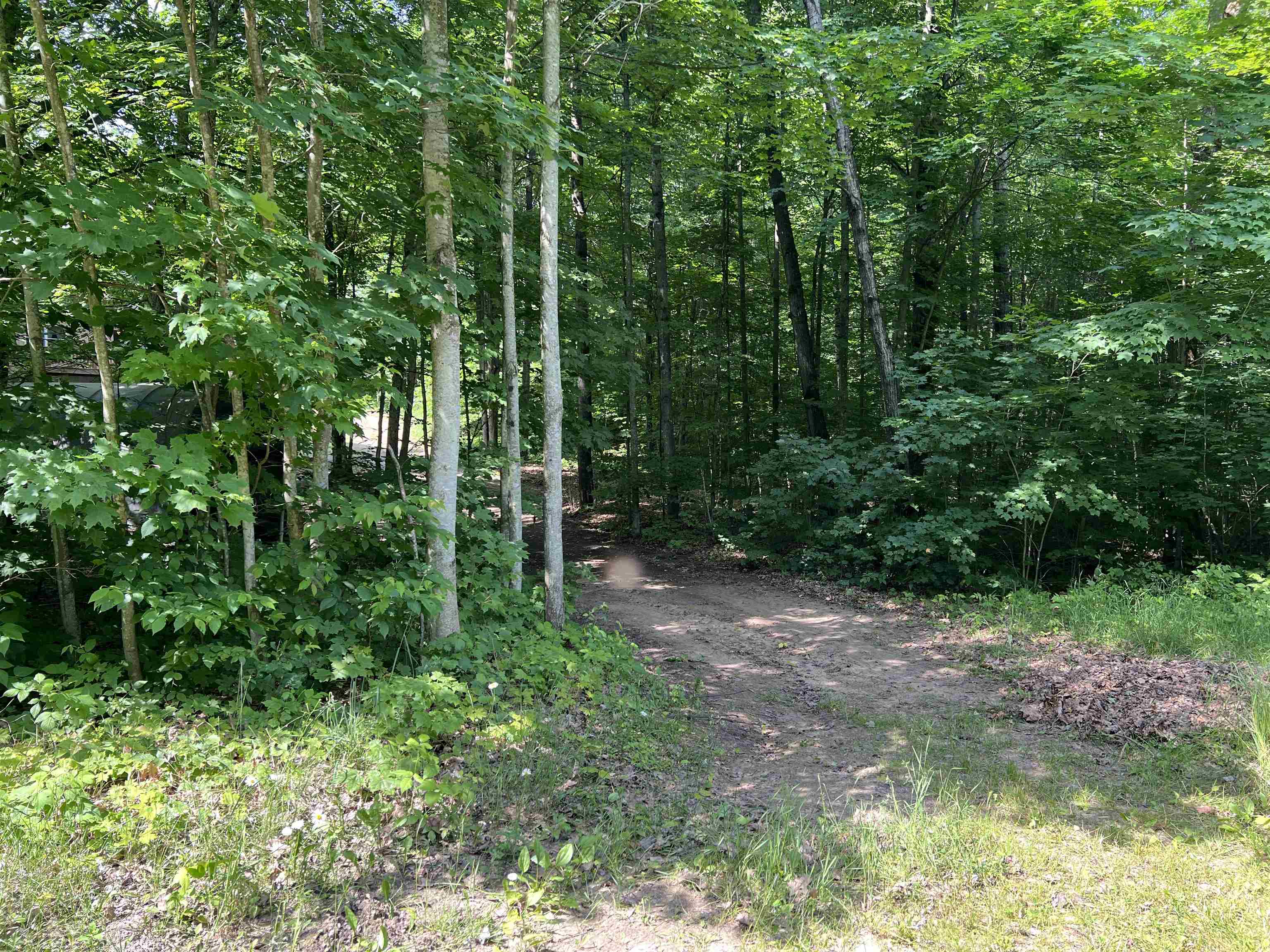 309 Oak Hill Road, Fife Lake, MI, 49633