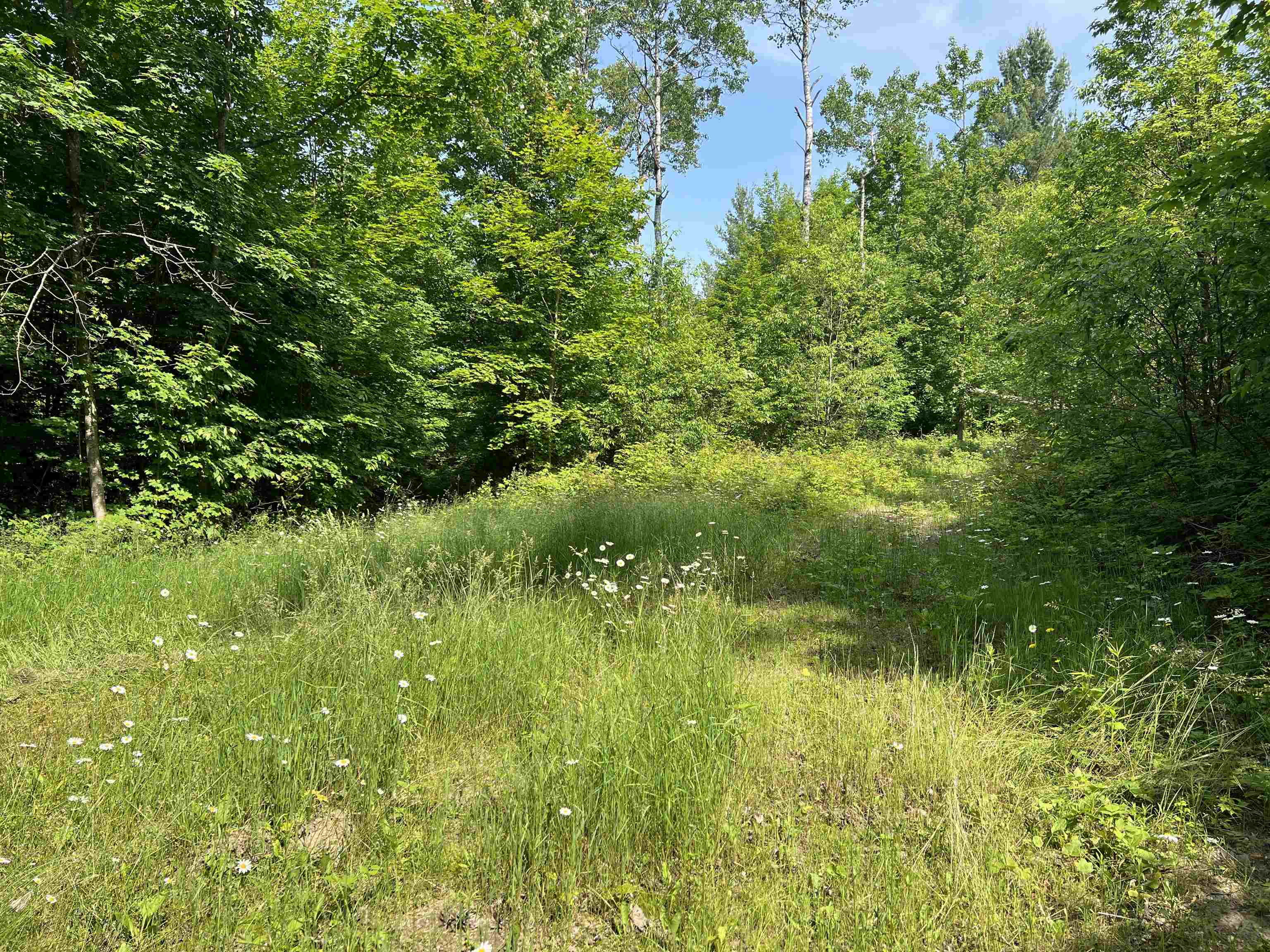 309 Oak Hill Road, Fife Lake, MI, 49633