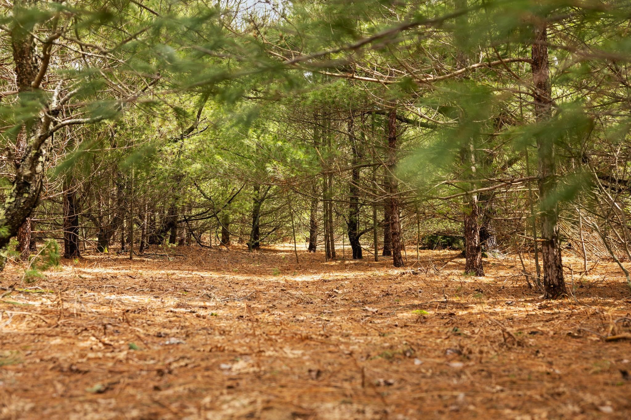 UNIT&nbsp;3 Old Cabin Drive, Interlochen, MI, 49634