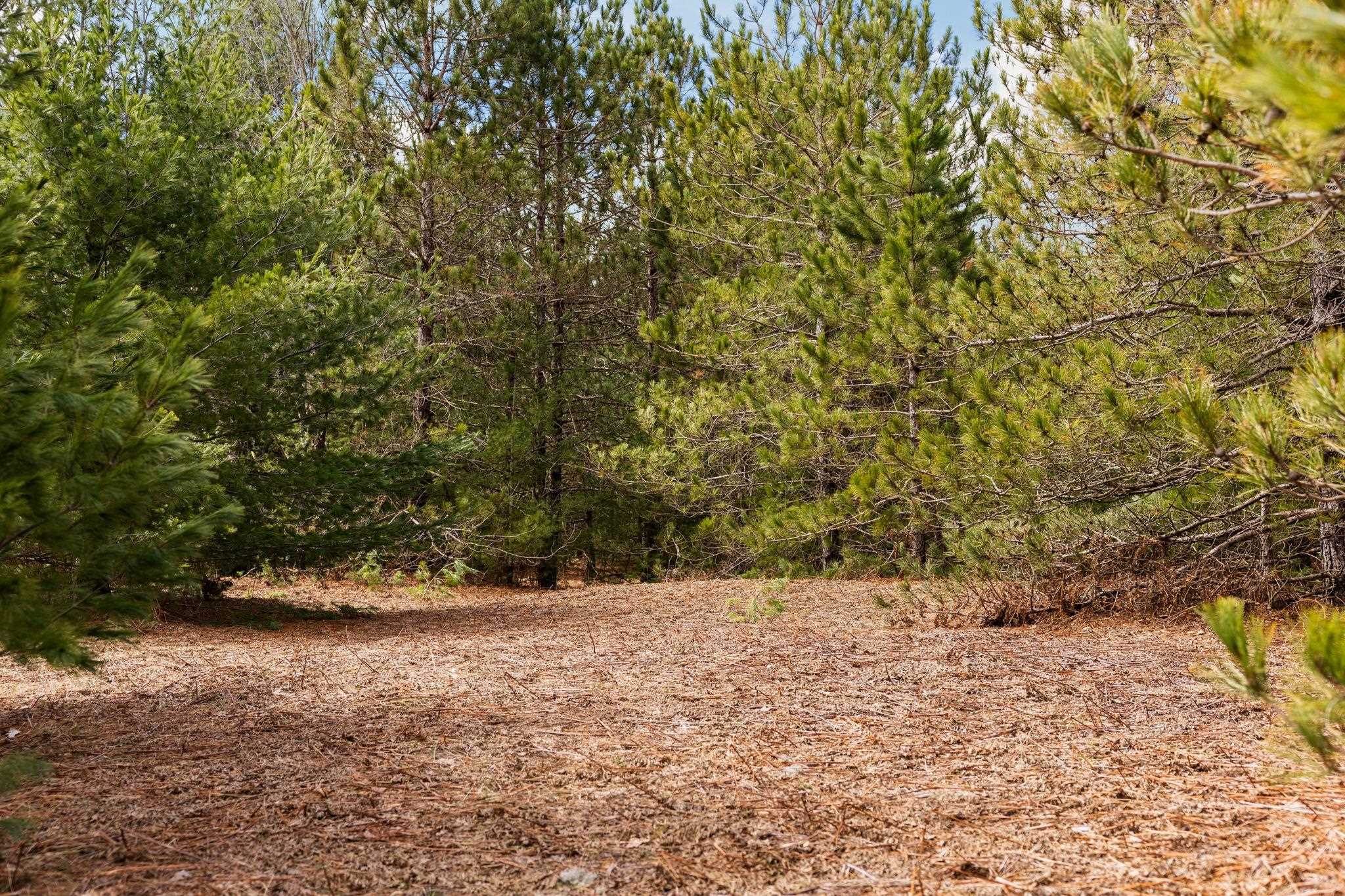 UNIT&nbsp;3 Old Cabin Drive, Interlochen, MI, 49634