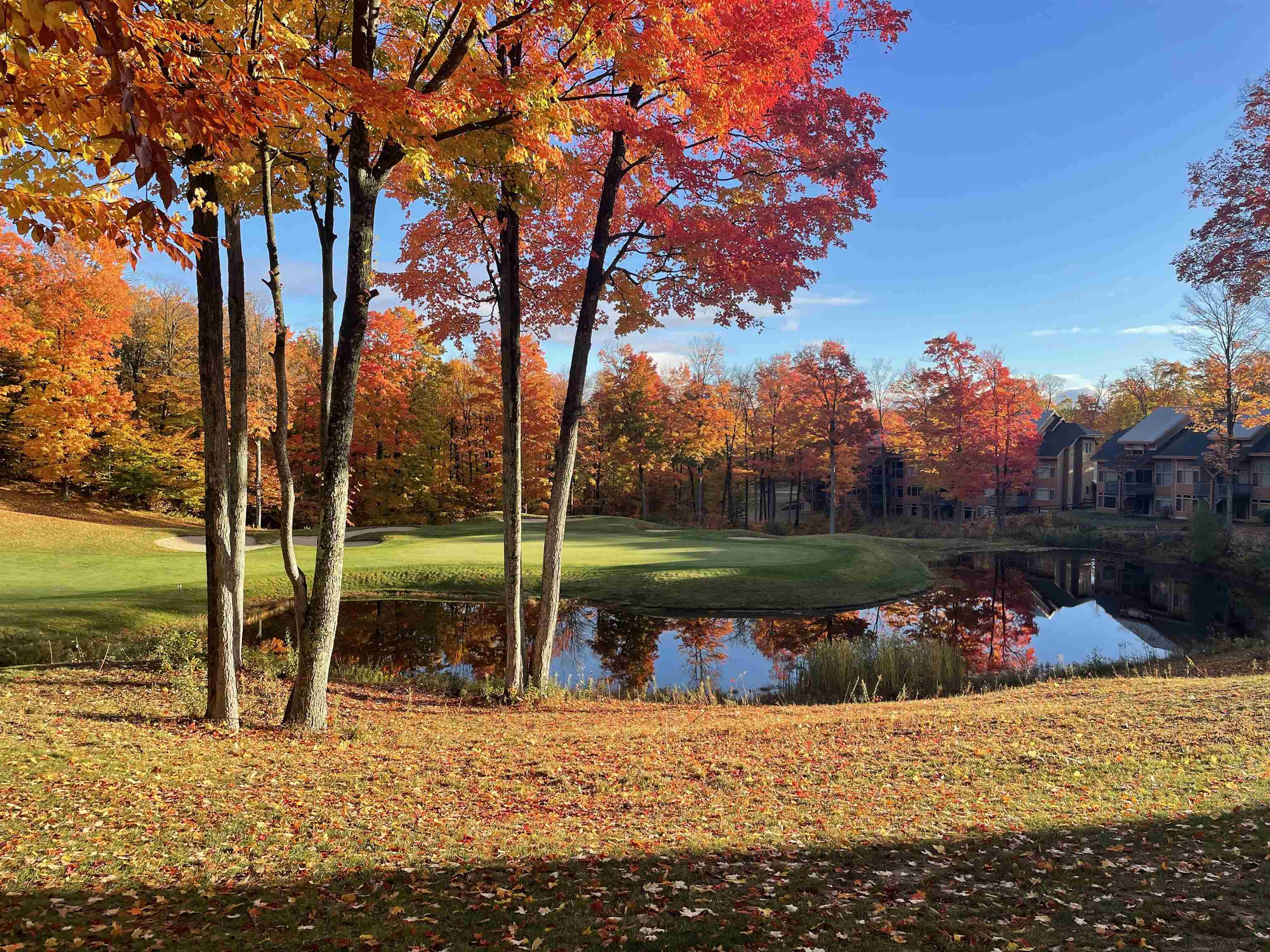 50th image of 5299 M 66, East Jordan, MI 49727 | MLS# 80067167