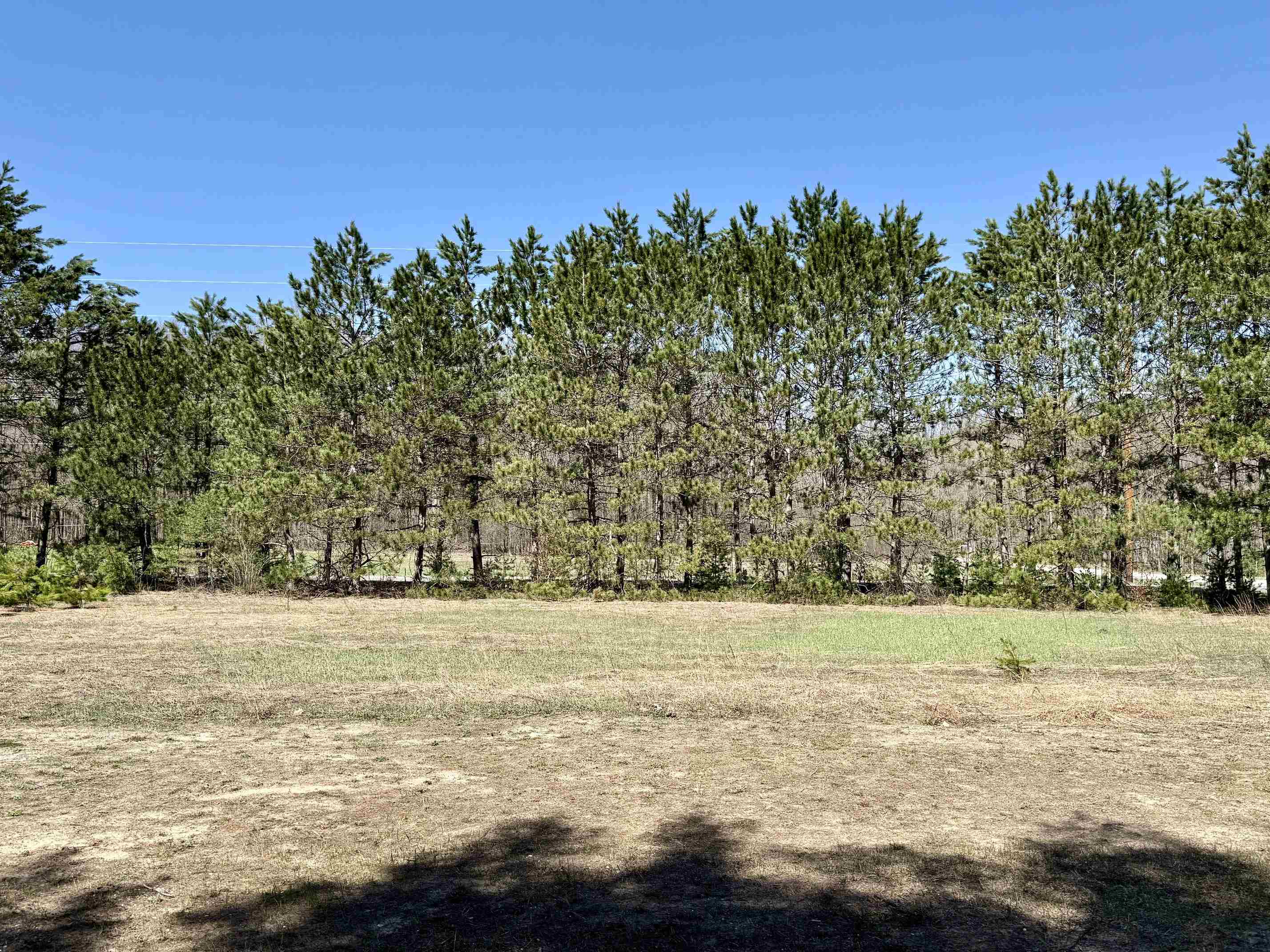 3044 S 29 Road, Cadillac, MI, 49601