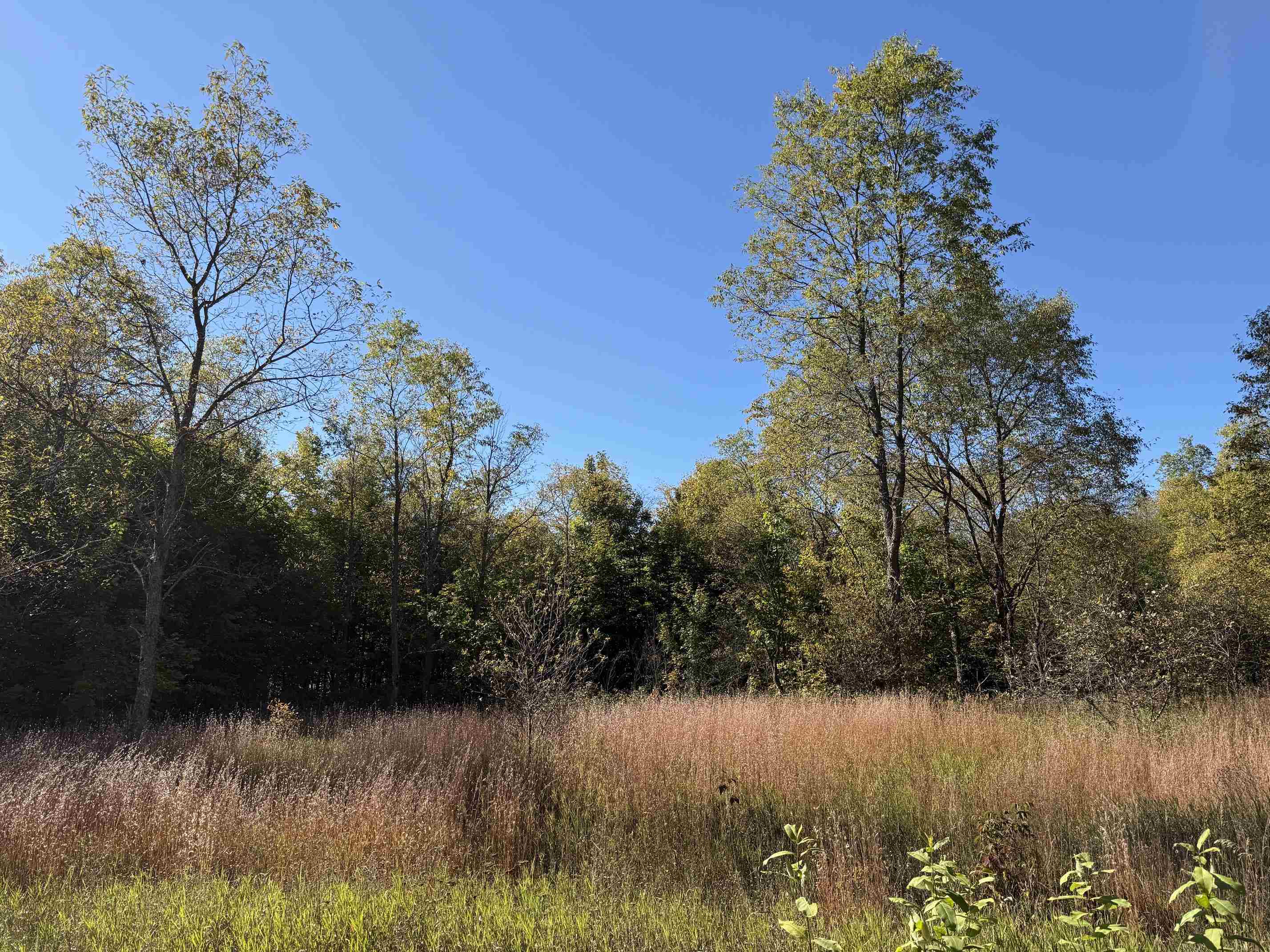 Photo 2 of Land for sale at 171 Ne Kleehammer Clb Dr, Kalkaska, MI 49646 | MLS# 78080067213 | Listing updated on 2026-09-28