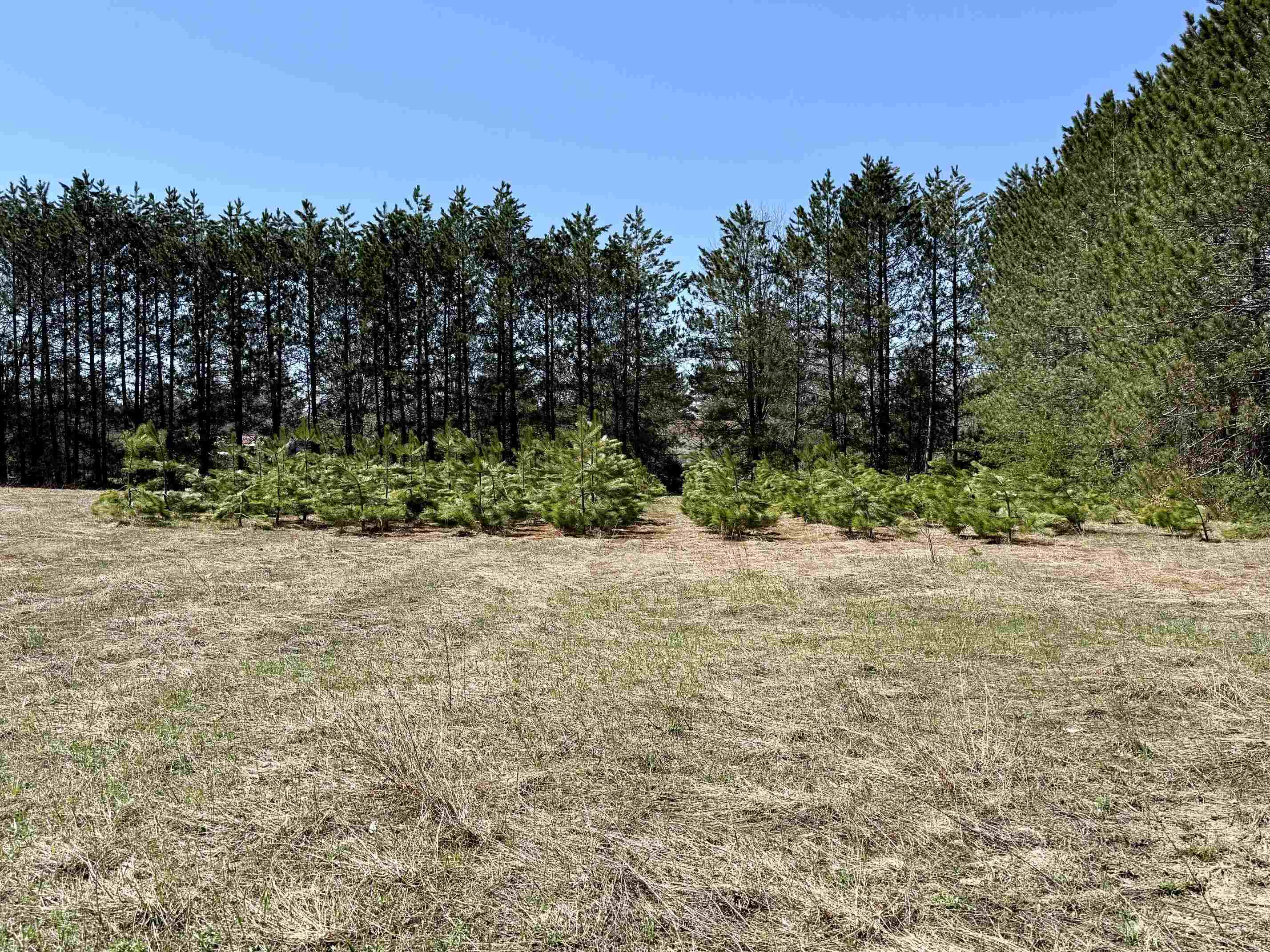 3044 S 29 Road, Cadillac, MI, 49601