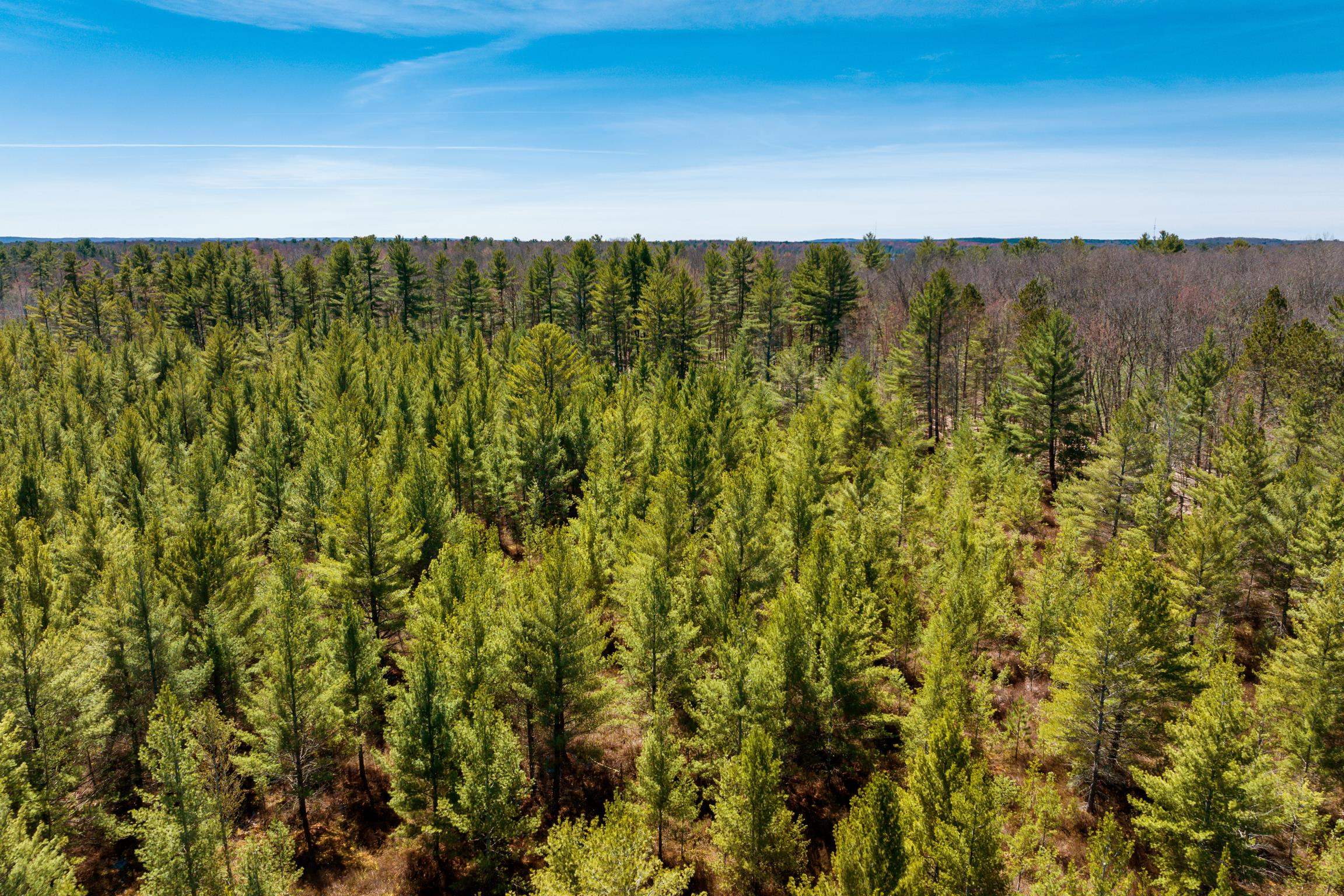 9595 Mud Lake Road, Interlochen, MI, 49643