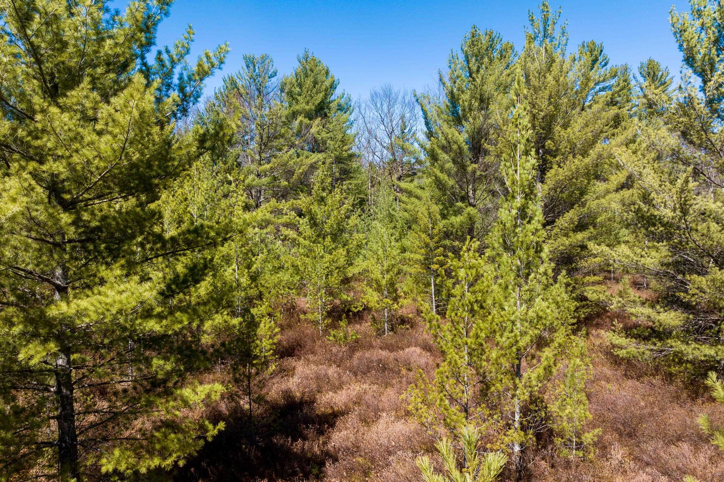 9595 Mud Lake Road, Interlochen, MI, 49643