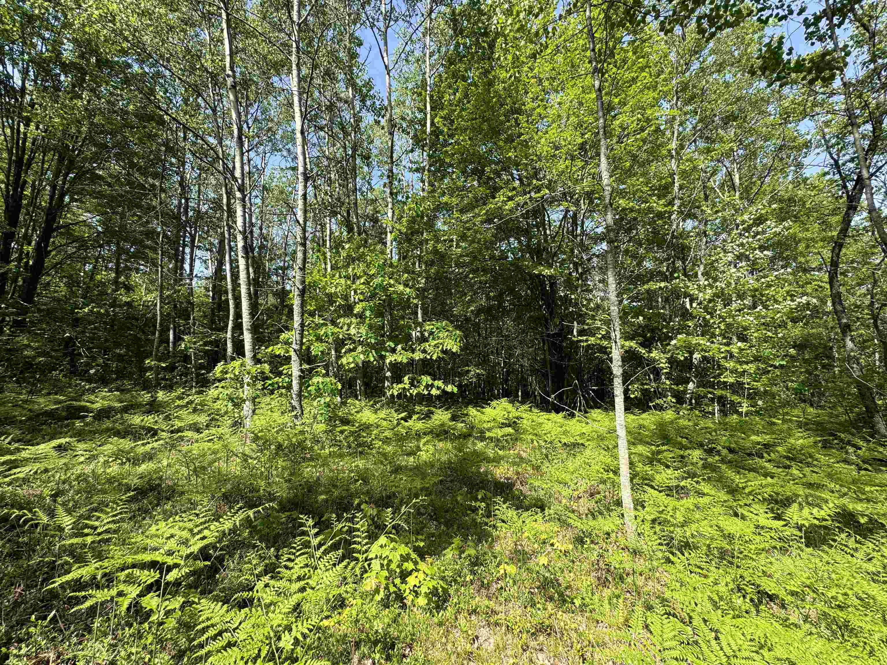 TBD Kalkaska Road Nw, Kalkaska, MI, 49646