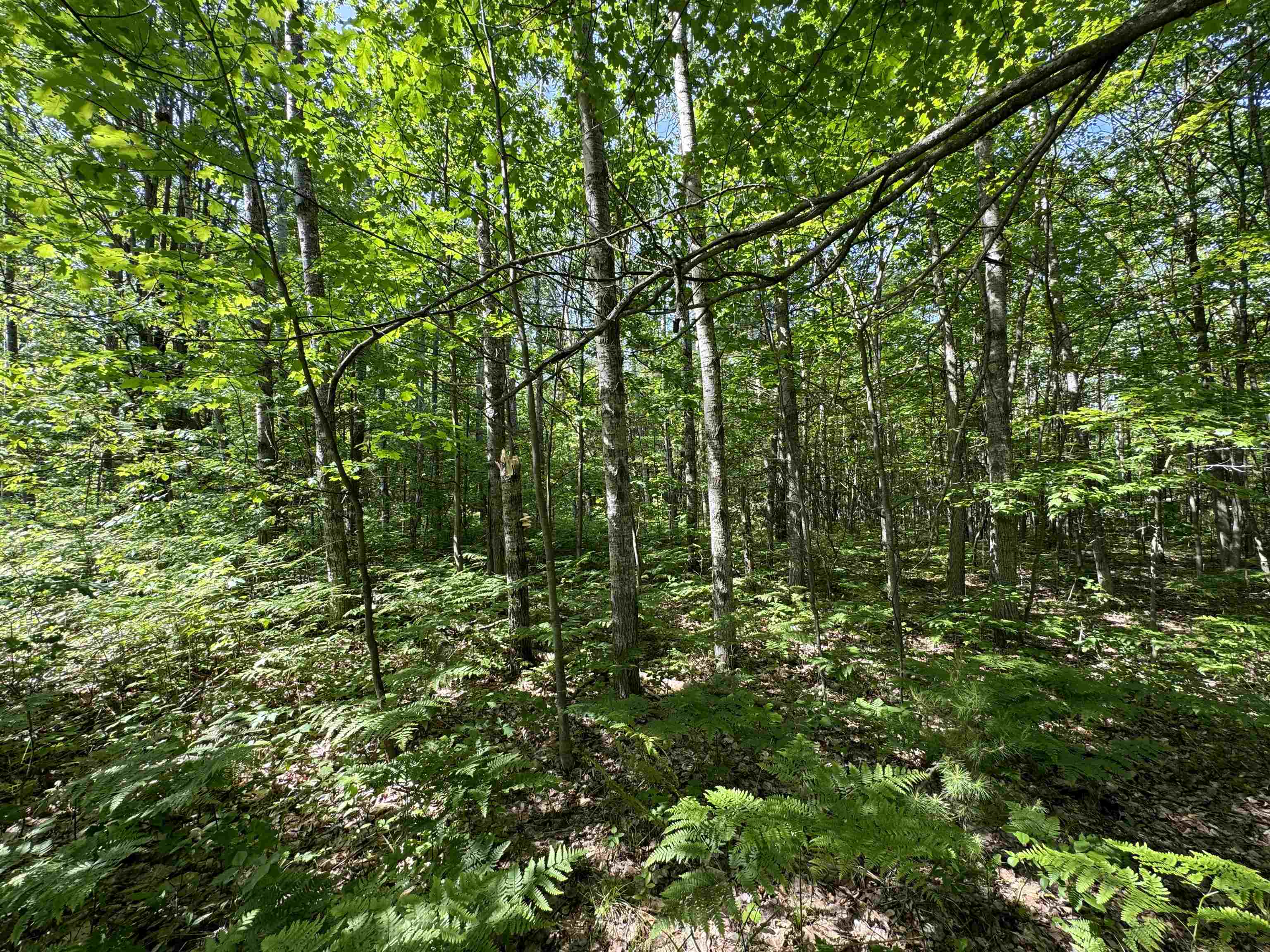 TBD Kalkaska Road Nw, Kalkaska, MI, 49646