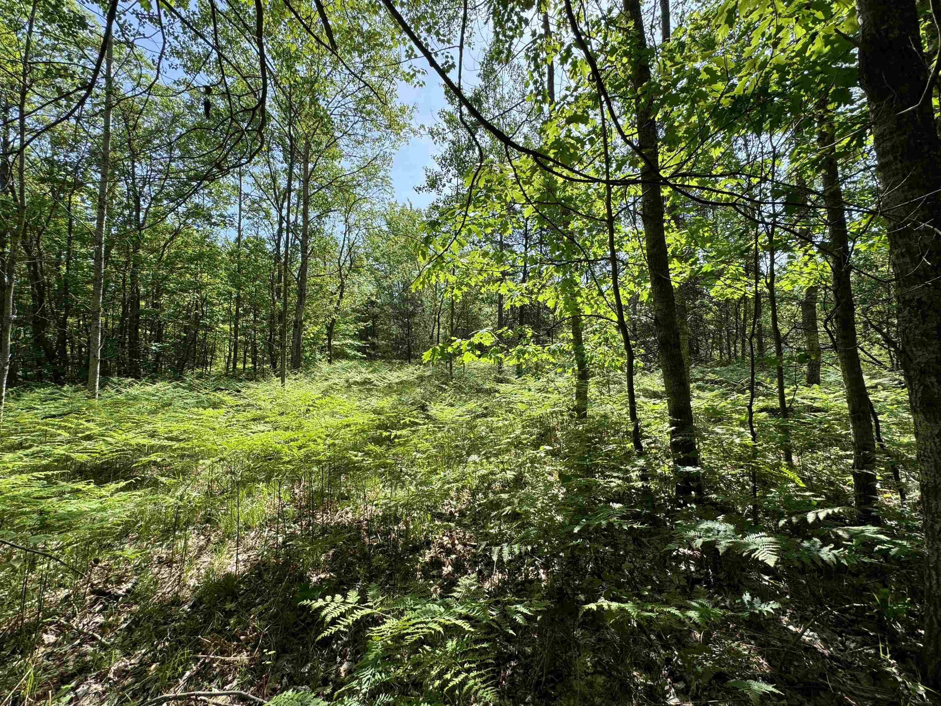 TBD Kalkaska Road Nw, Kalkaska, MI, 49646