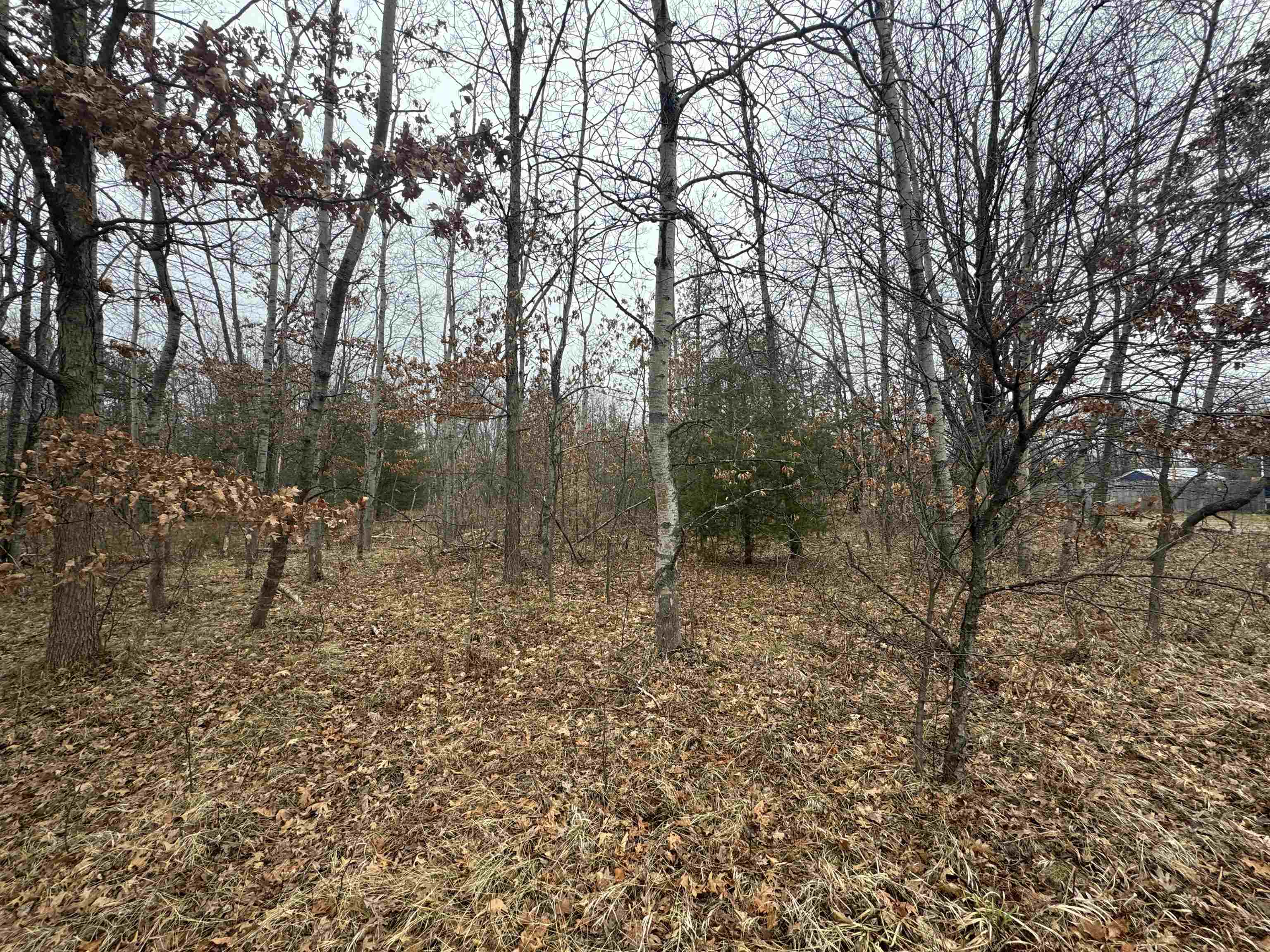 TBD Kalkaska Road Nw, Kalkaska, MI, 49646