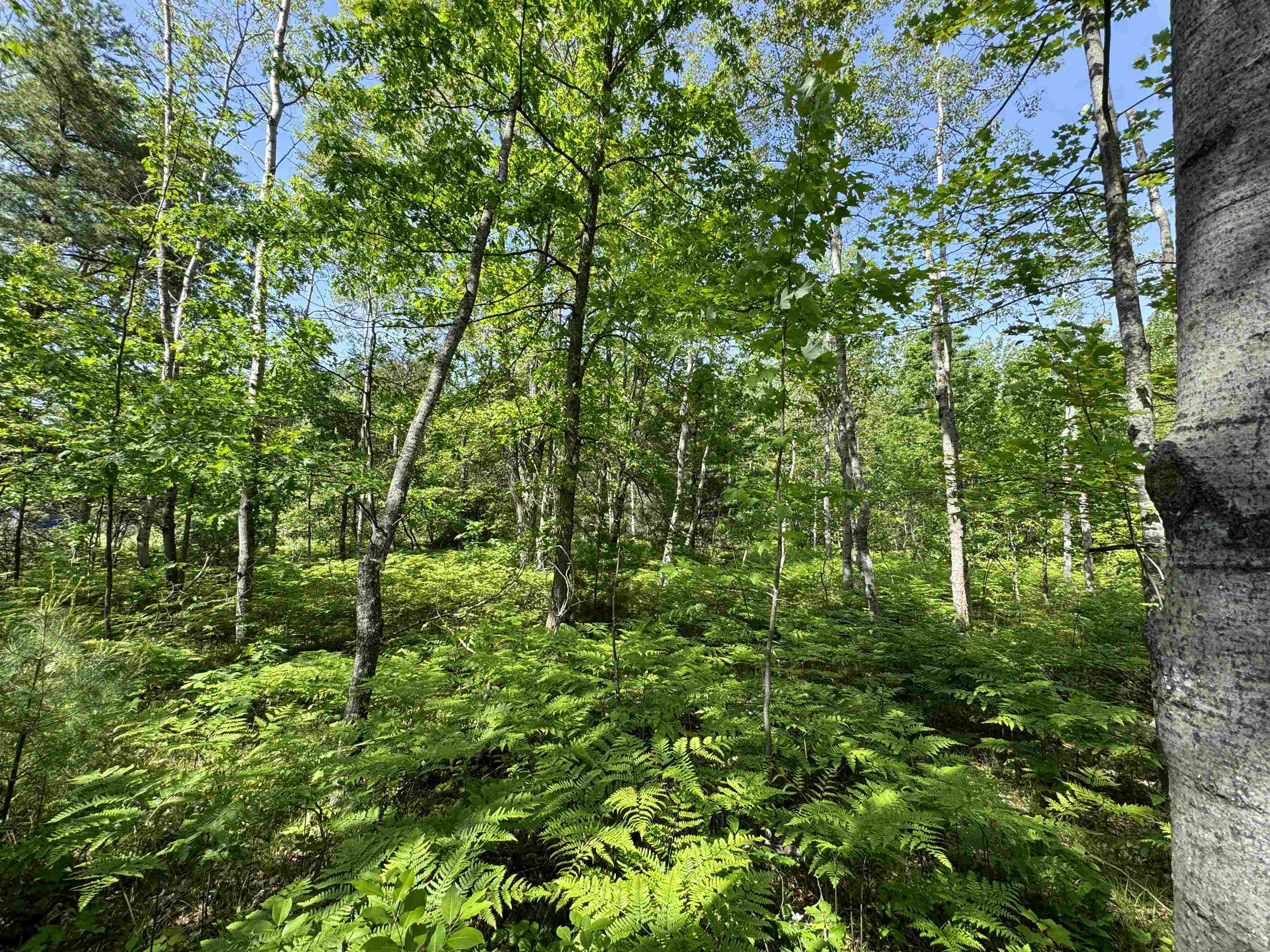 TBD Kalkaska Road Nw, Kalkaska, MI, 49646