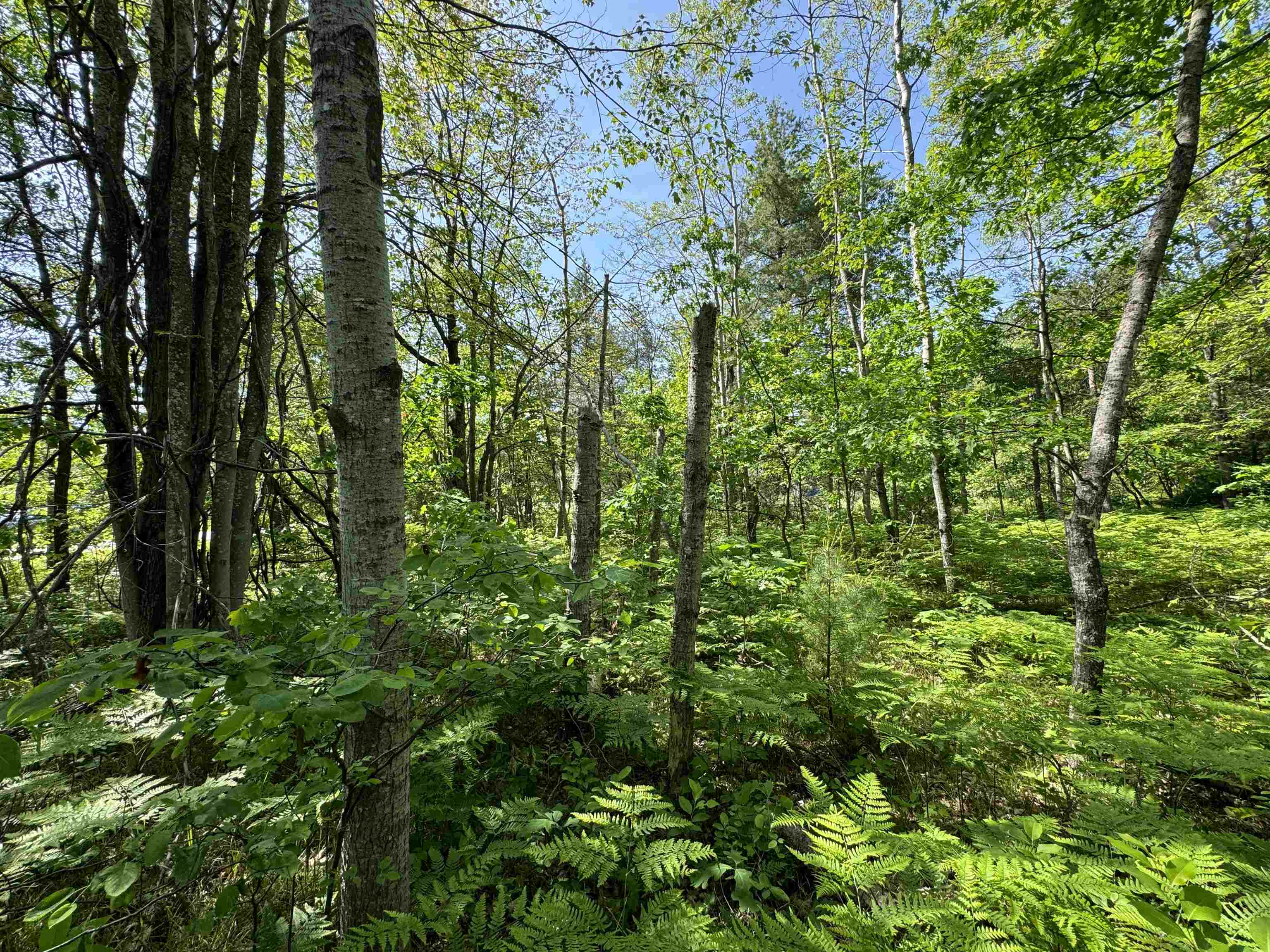 TBD Kalkaska Road Nw, Kalkaska, MI, 49646